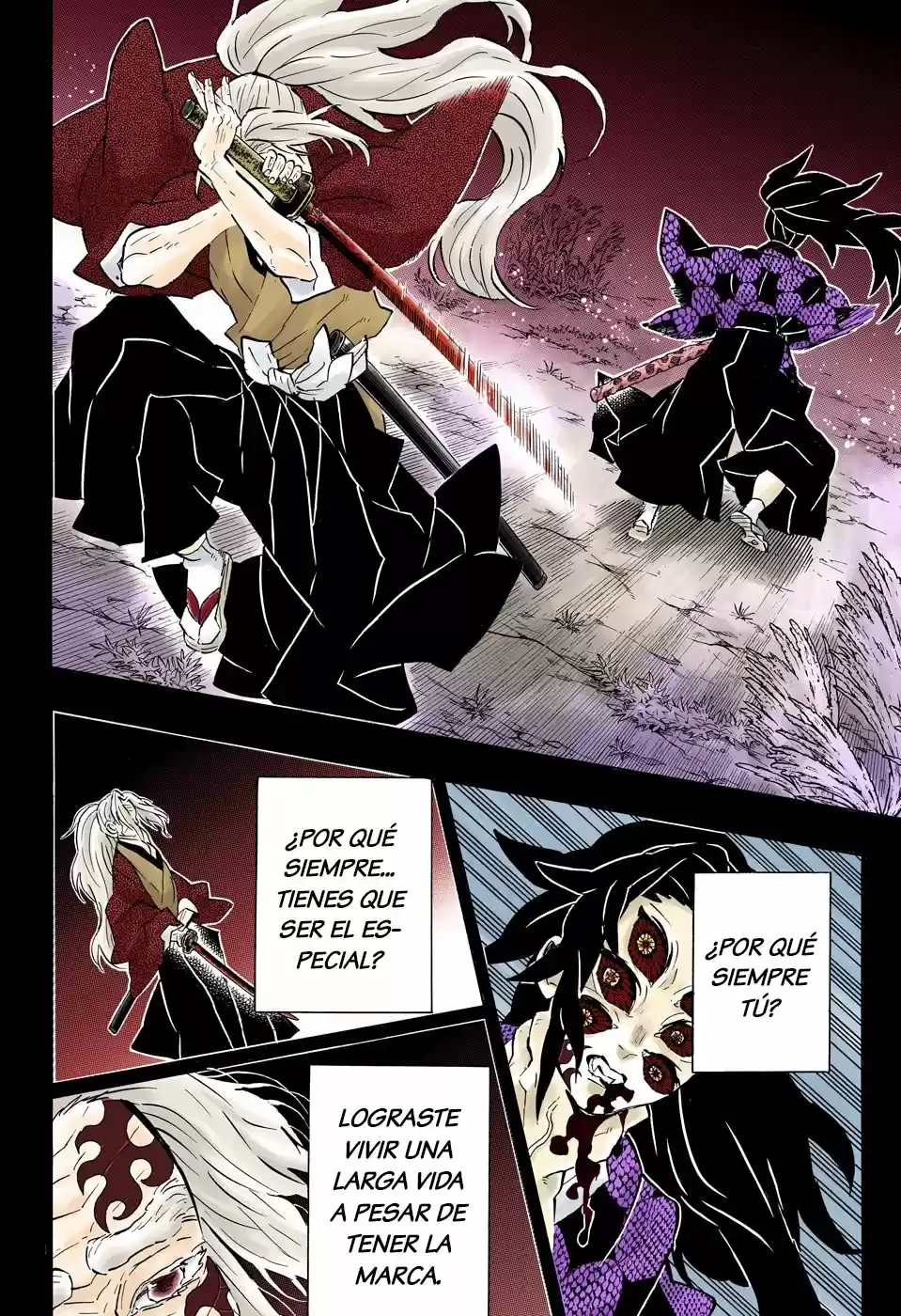 Kimetsu No Yaiba - Capítulo 174.50 - Página 17 - LectorTMOo