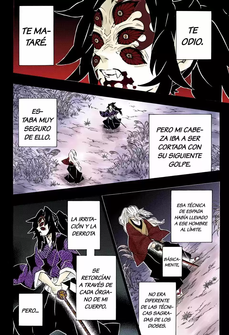 Kimetsu No Yaiba - Capítulo 174.50 - Página 19 - LectorTMOo