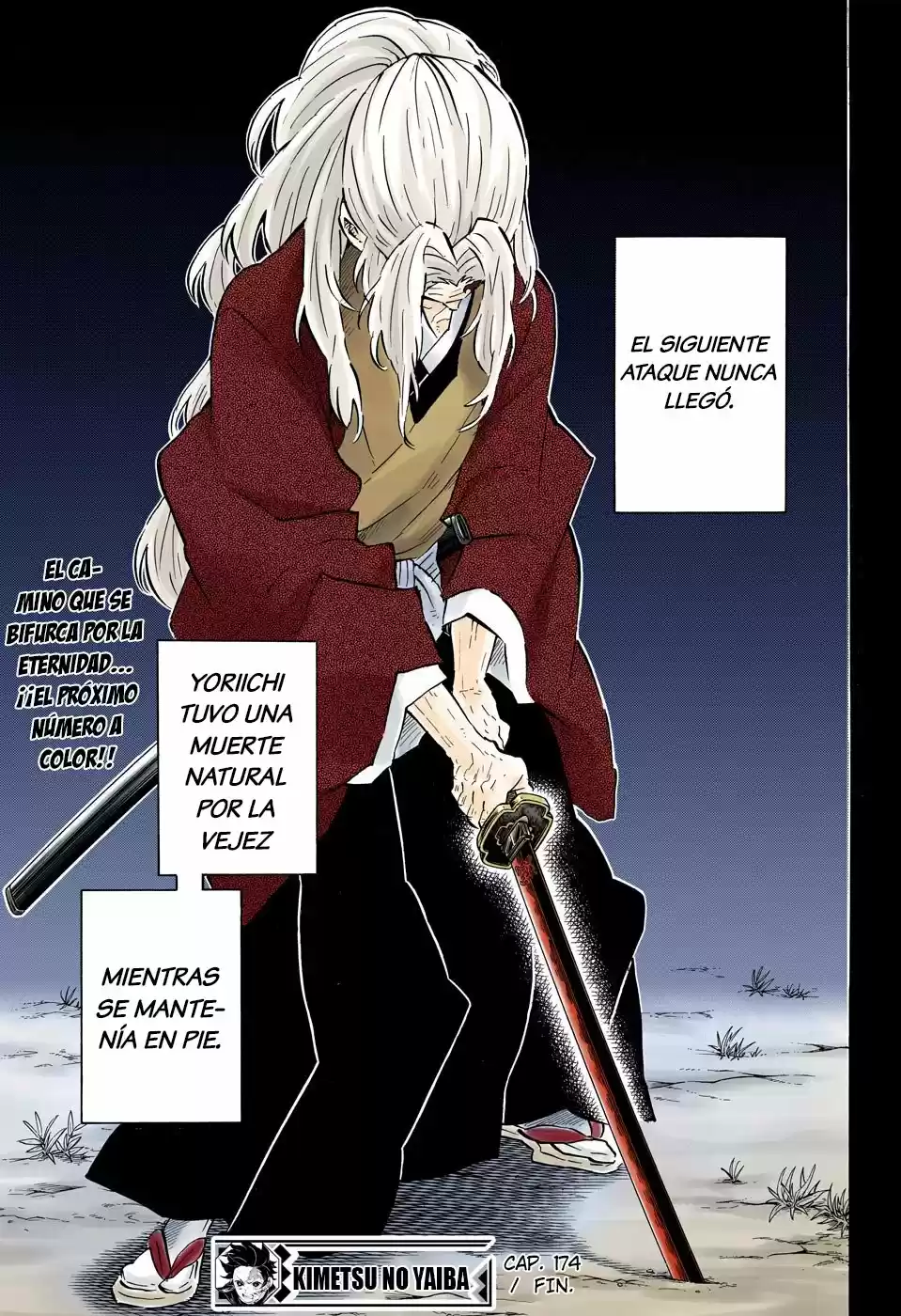 Kimetsu No Yaiba - Capítulo 174.50 - Página 20 - LectorTMOo