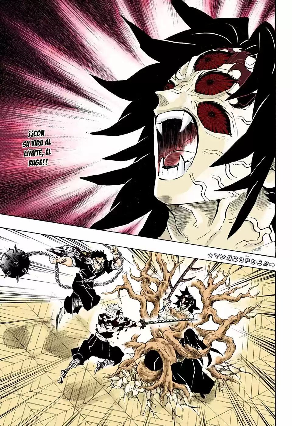 Kimetsu No Yaiba - Capítulo 175.50 - Página 5 - LectorTMOo