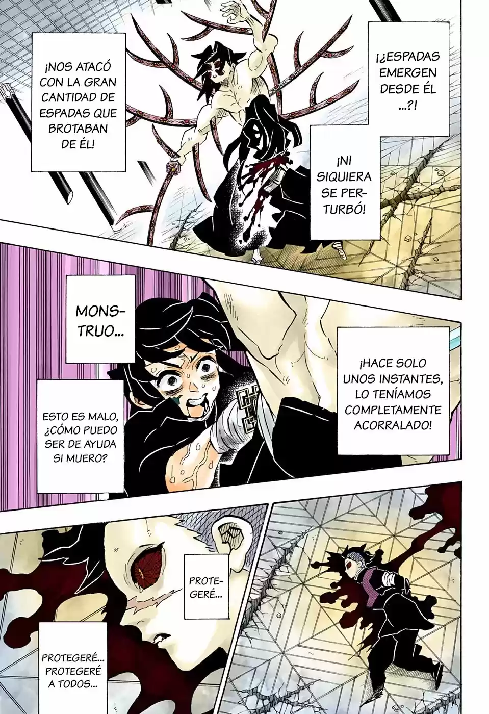 Kimetsu No Yaiba - Capítulo 175.50 - Página 9 - LectorTMOo