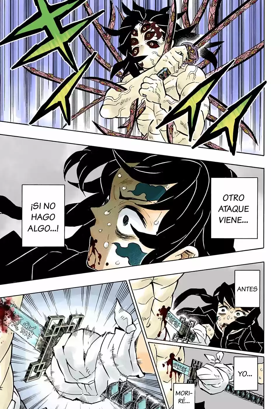 Kimetsu No Yaiba - Capítulo 175.50 - Página 11 - LectorTMOo