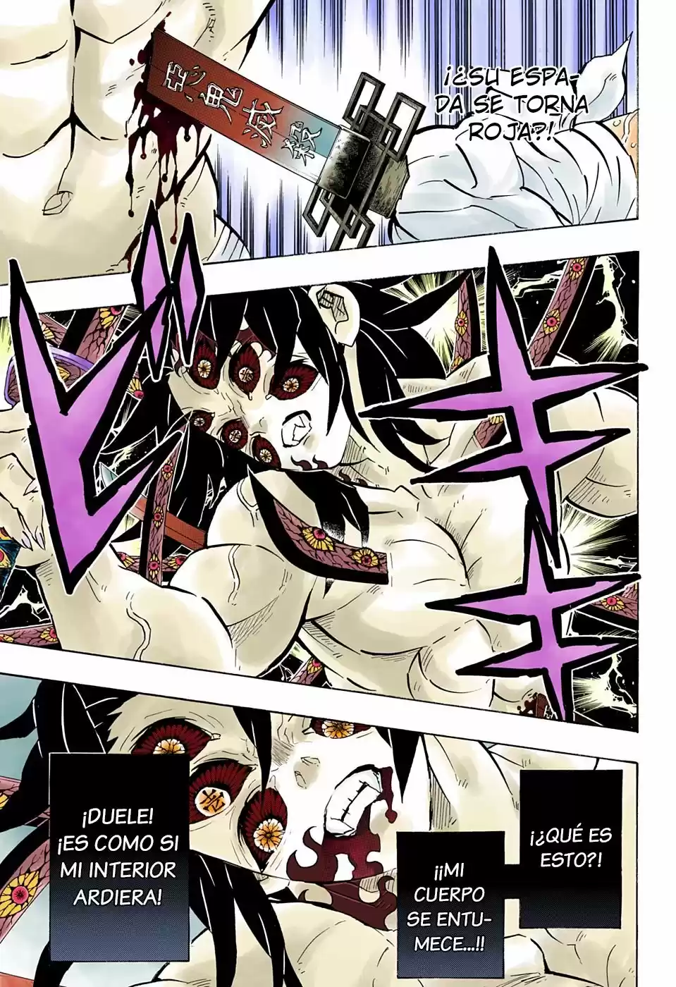 Kimetsu No Yaiba - Capítulo 175.50 - Página 13 - LectorTMOo