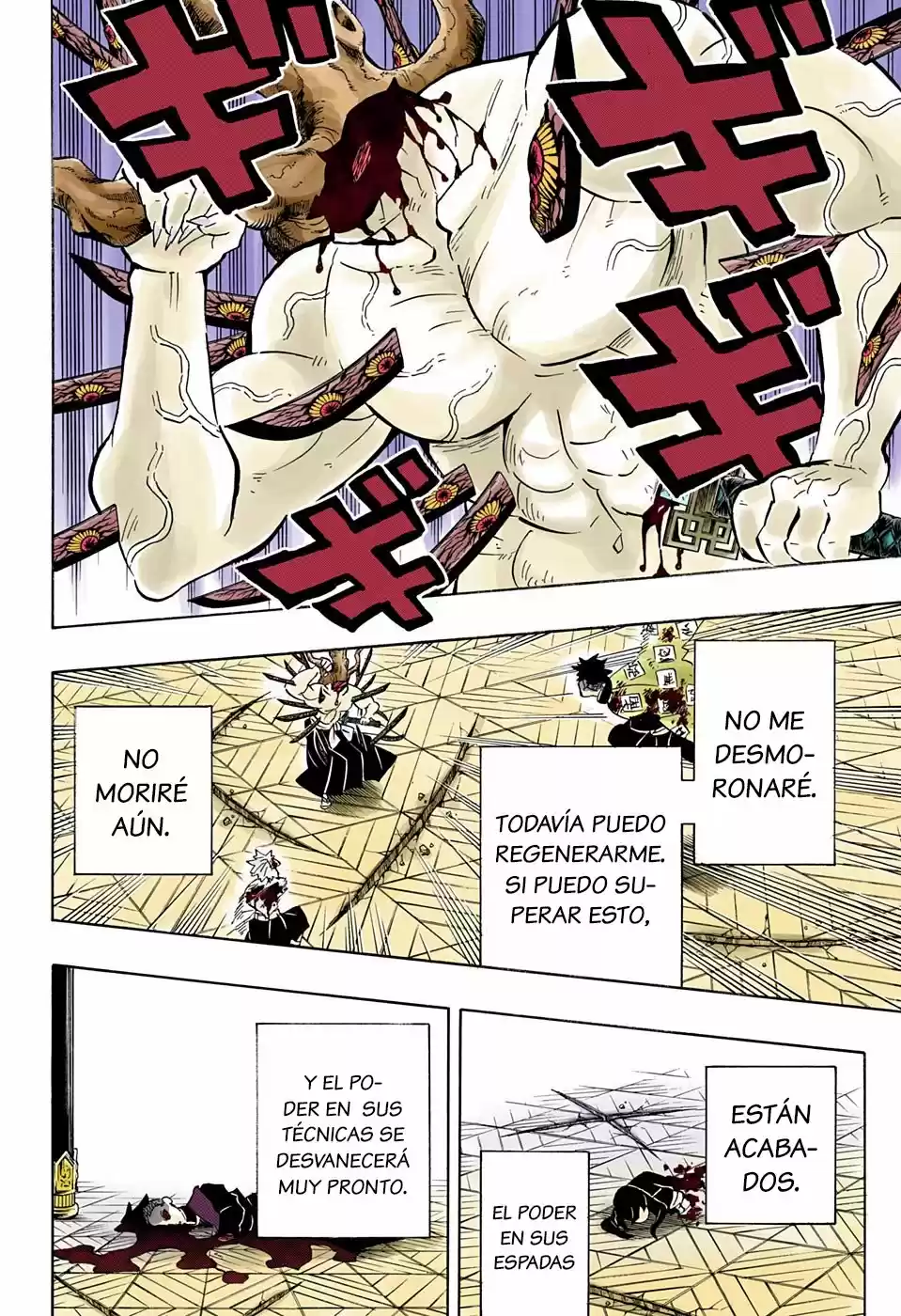 Kimetsu No Yaiba - Capítulo 176.50 - Página 9 - LectorTMOo