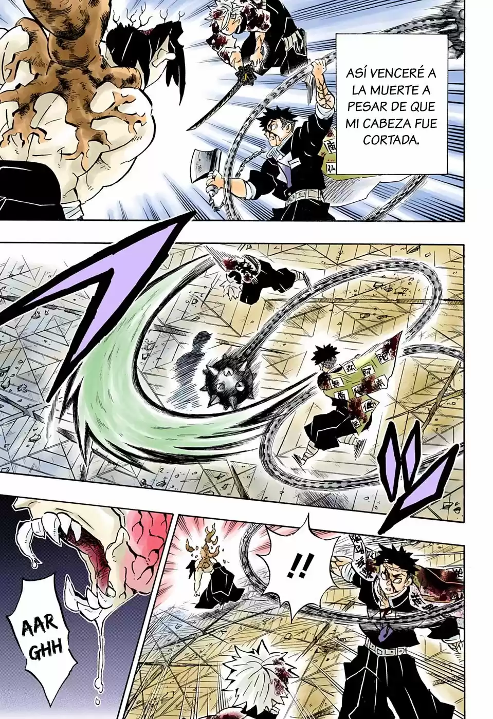 Kimetsu No Yaiba - Capítulo 176.50 - Página 10 - LectorTMOo