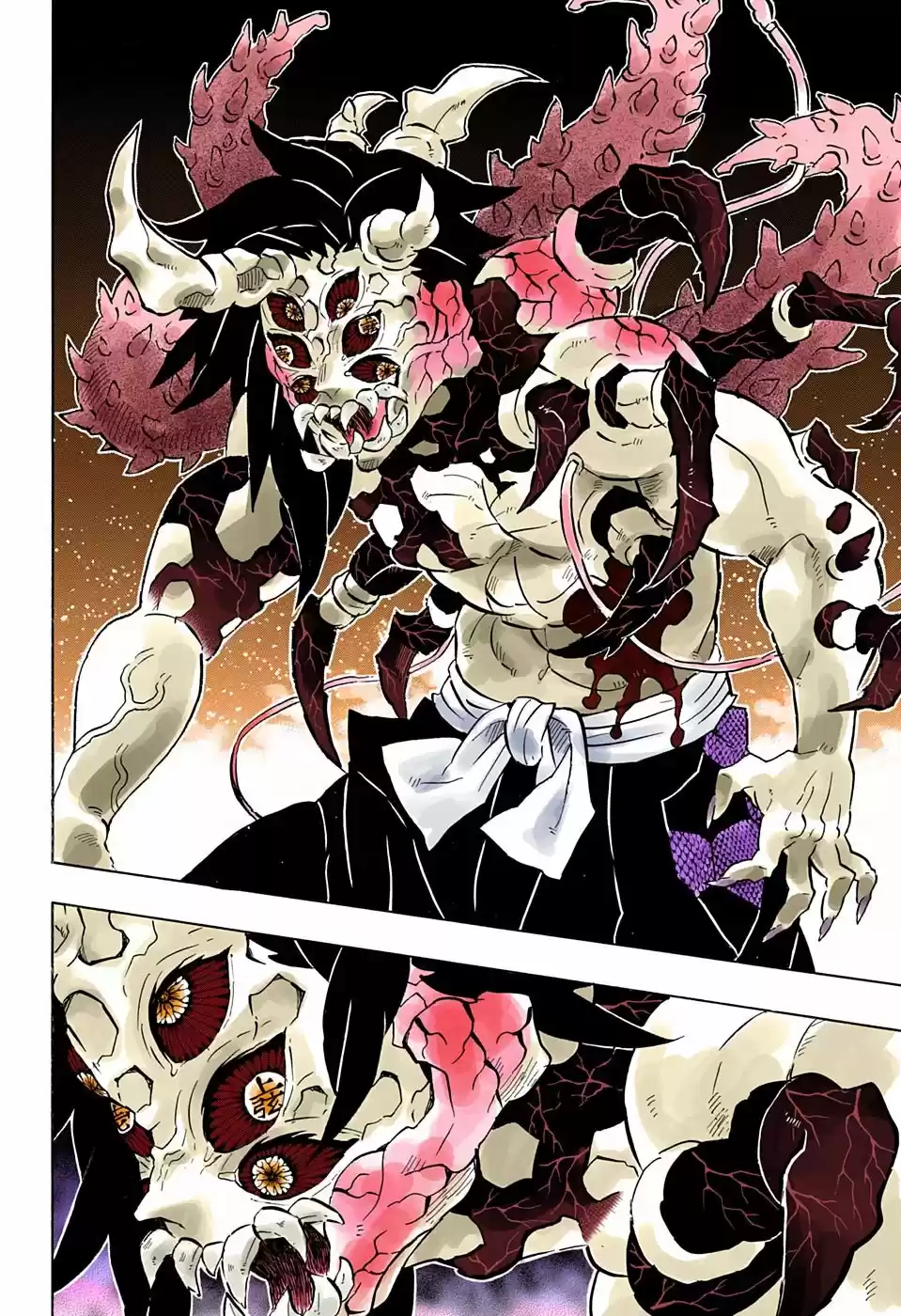 Kimetsu No Yaiba - Capítulo 176.50 - Página 11 - LectorTMOo