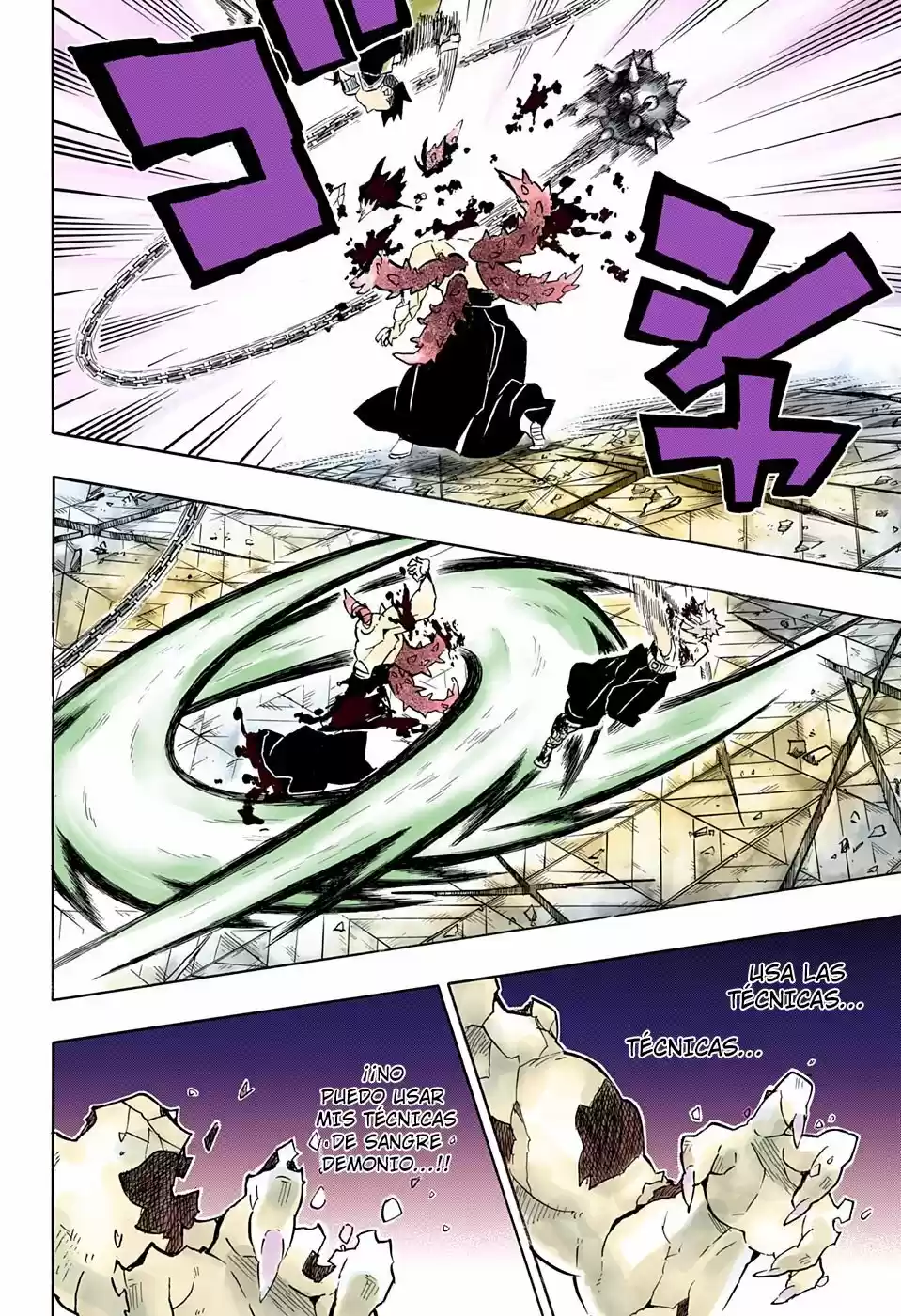Kimetsu No Yaiba - Capítulo 176.50 - Página 17 - LectorTMOo