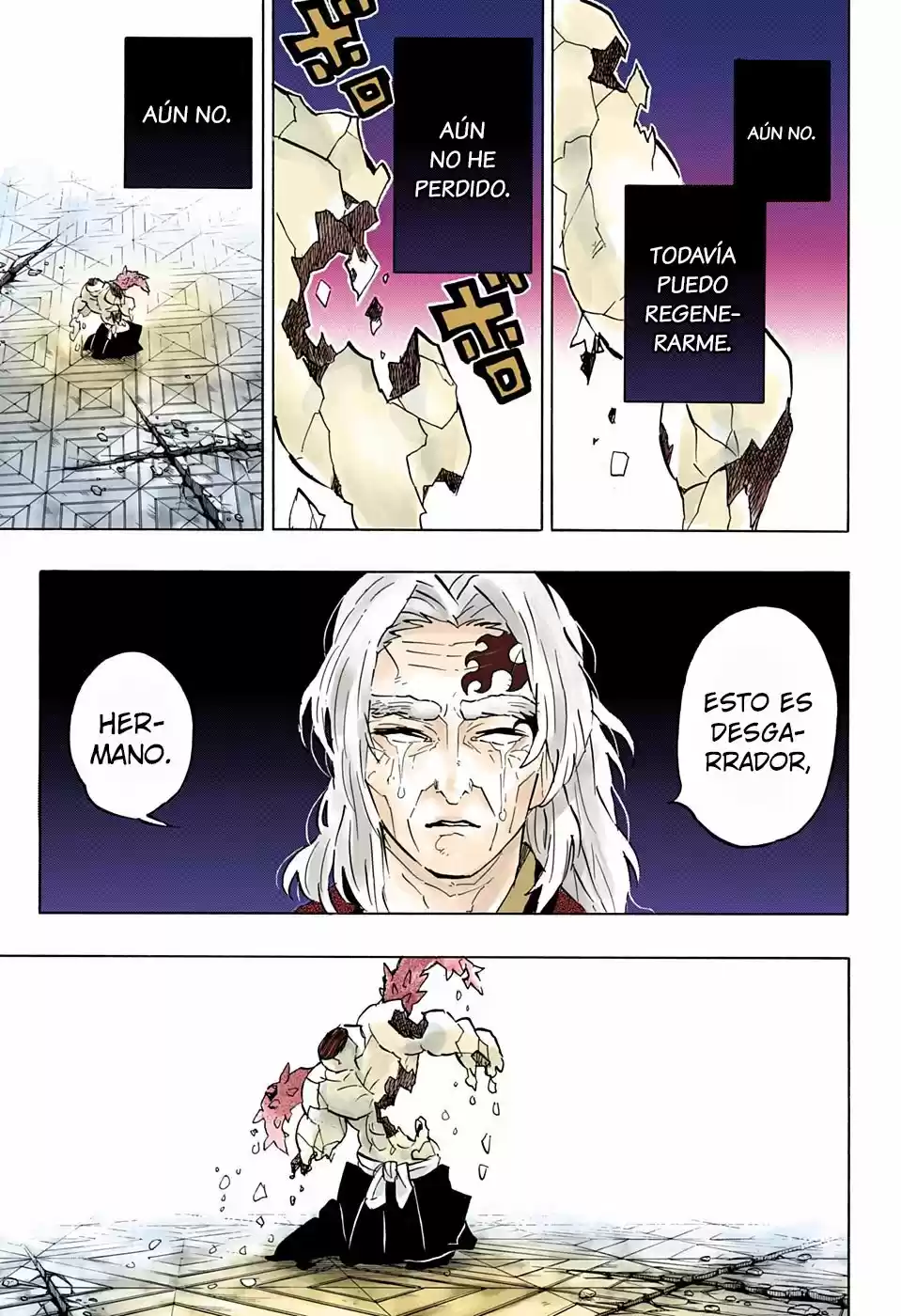 Kimetsu No Yaiba - Capítulo 176.50 - Página 18 - LectorTMOo