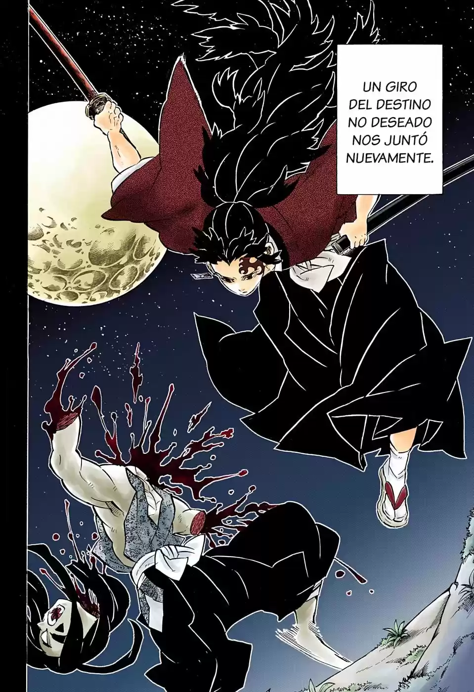 Kimetsu No Yaiba - Capítulo 178.50 - Página 5 - LectorTMOo