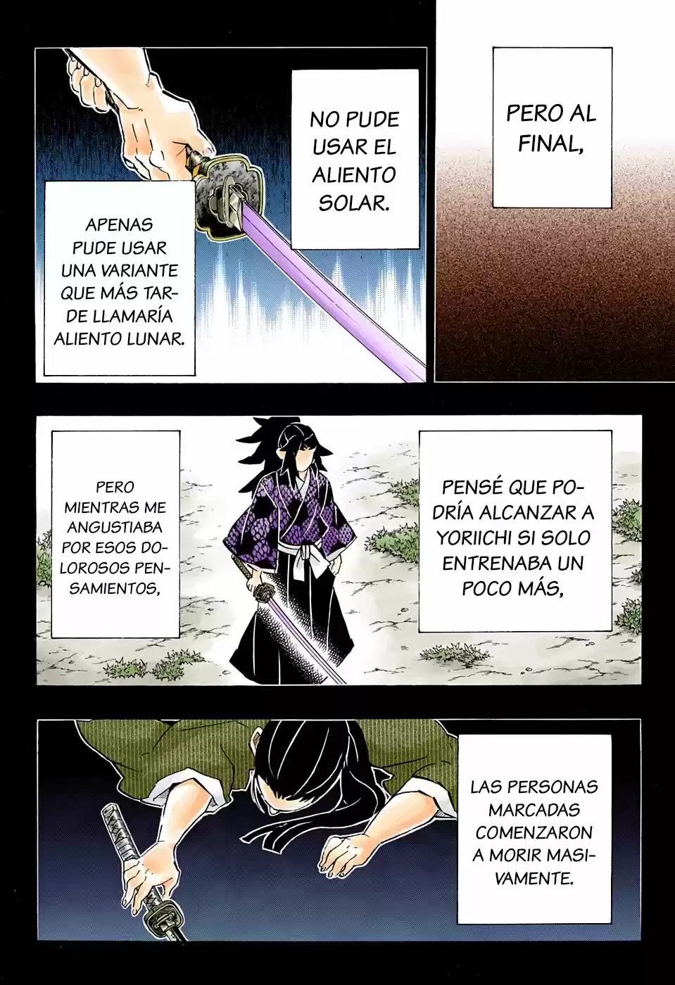 Kimetsu No Yaiba - Capítulo 178.50 - Página 9 - LectorTMOo