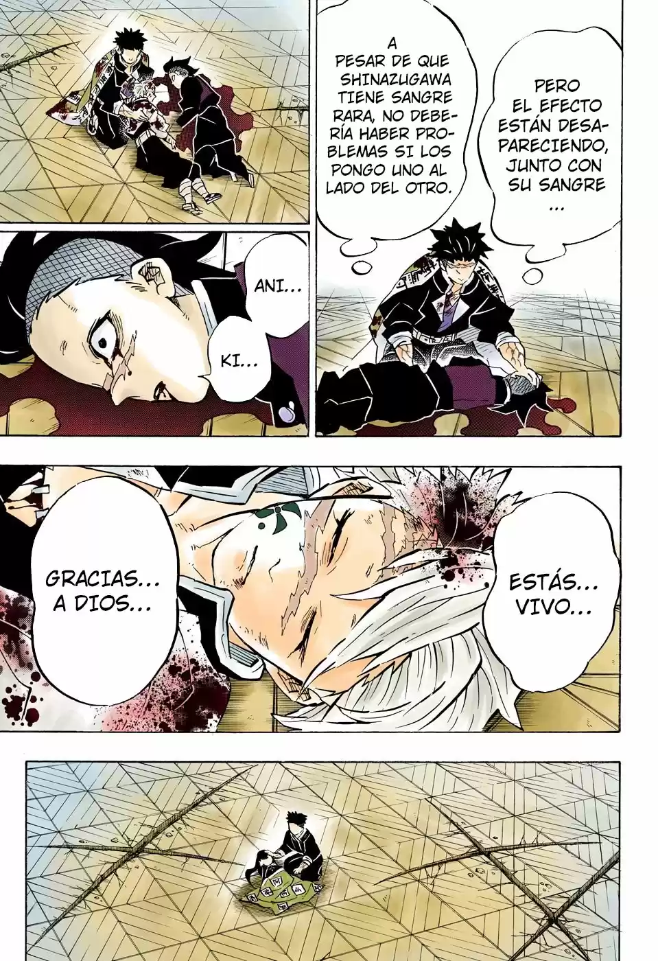 Kimetsu No Yaiba - Capítulo 179.50 - Página 6 - LectorTMOo