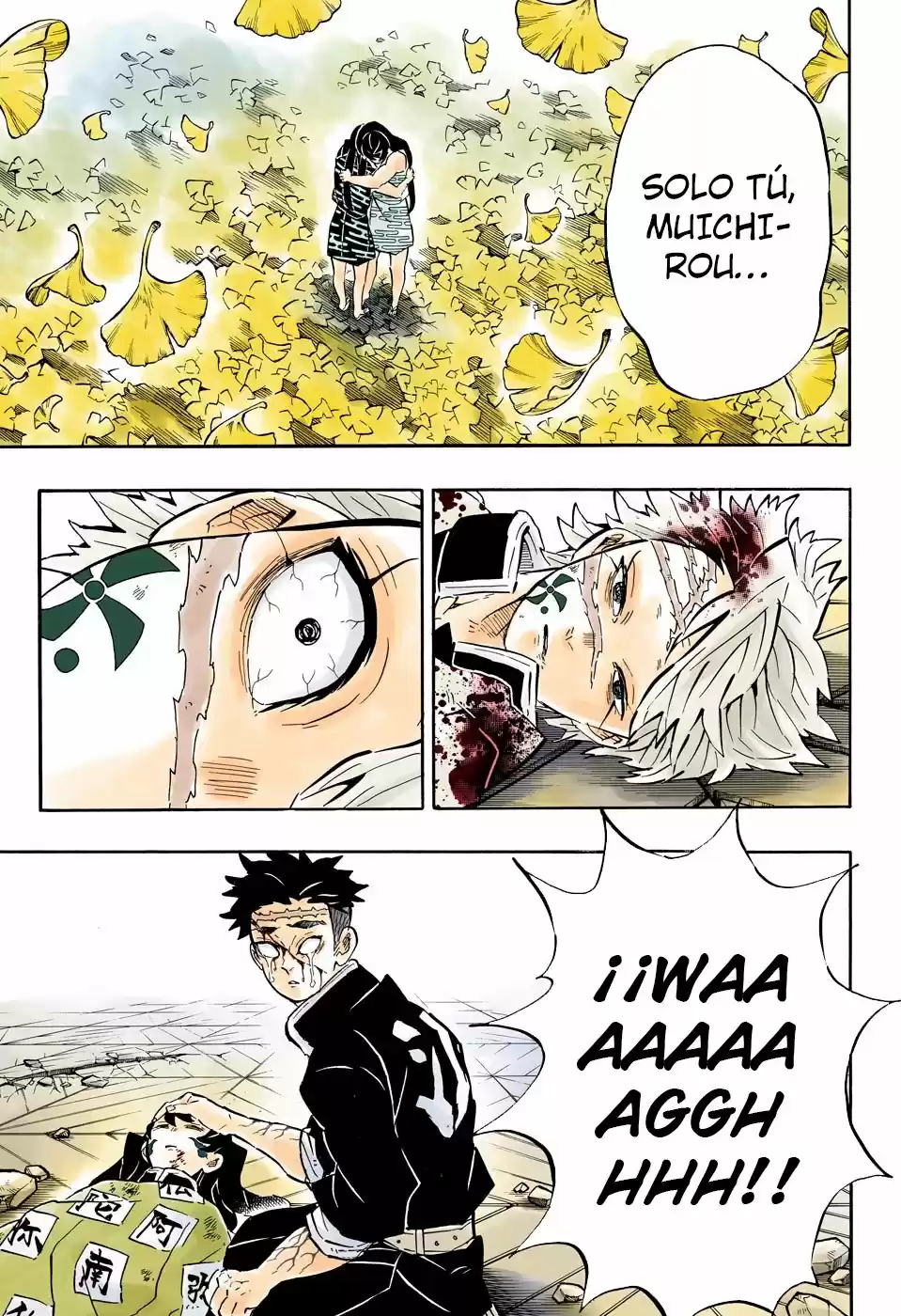 Kimetsu No Yaiba - Capítulo 179.50 - Página 14 - LectorTMOo