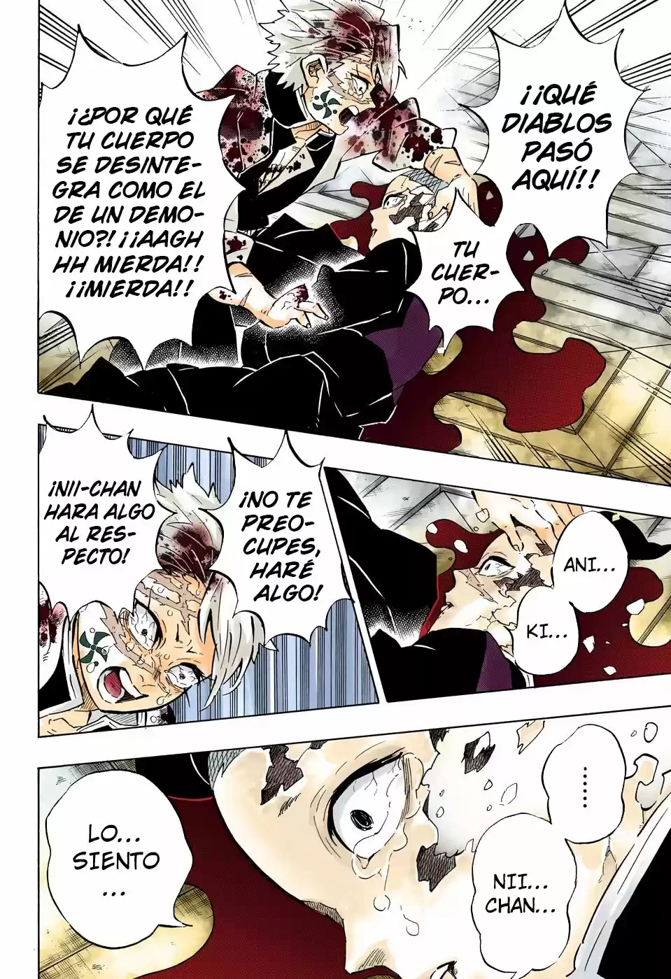 Kimetsu No Yaiba - Capítulo 179.50 - Página 15 - LectorTMOo