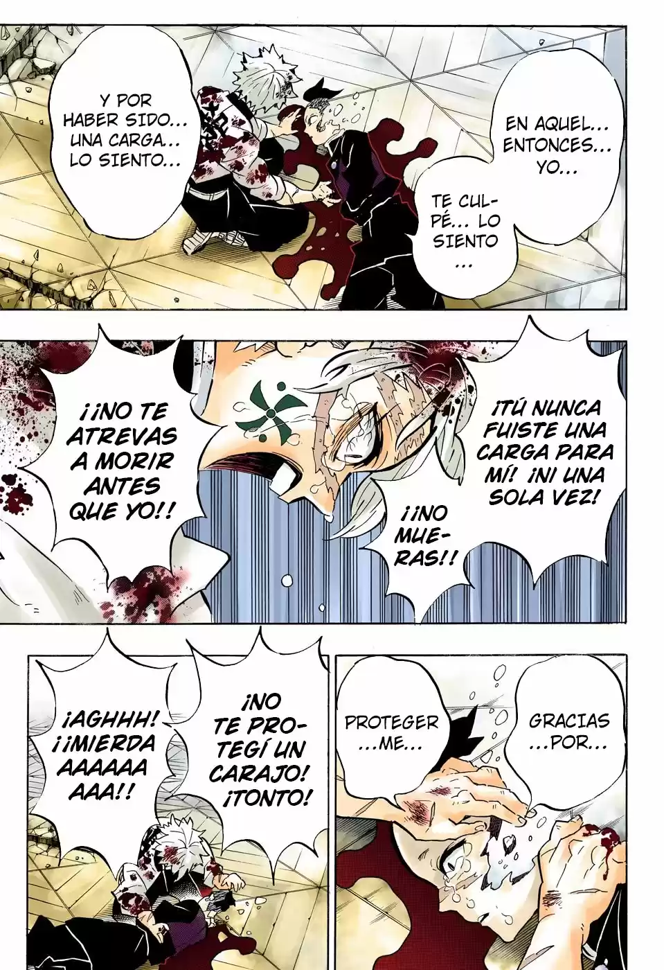 Kimetsu No Yaiba - Capítulo 179.50 - Página 16 - LectorTMOo