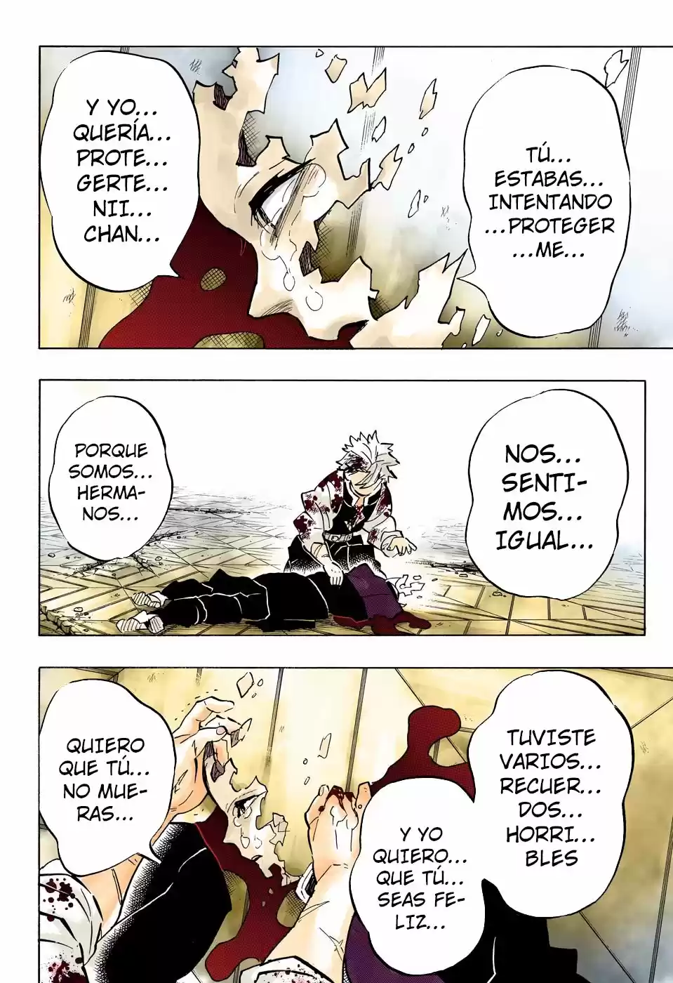 Kimetsu No Yaiba - Capítulo 179.50 - Página 17 - LectorTMOo