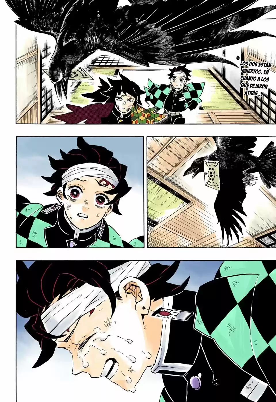 Kimetsu No Yaiba - Capítulo 180.50 - Página 3 - LectorTMOo