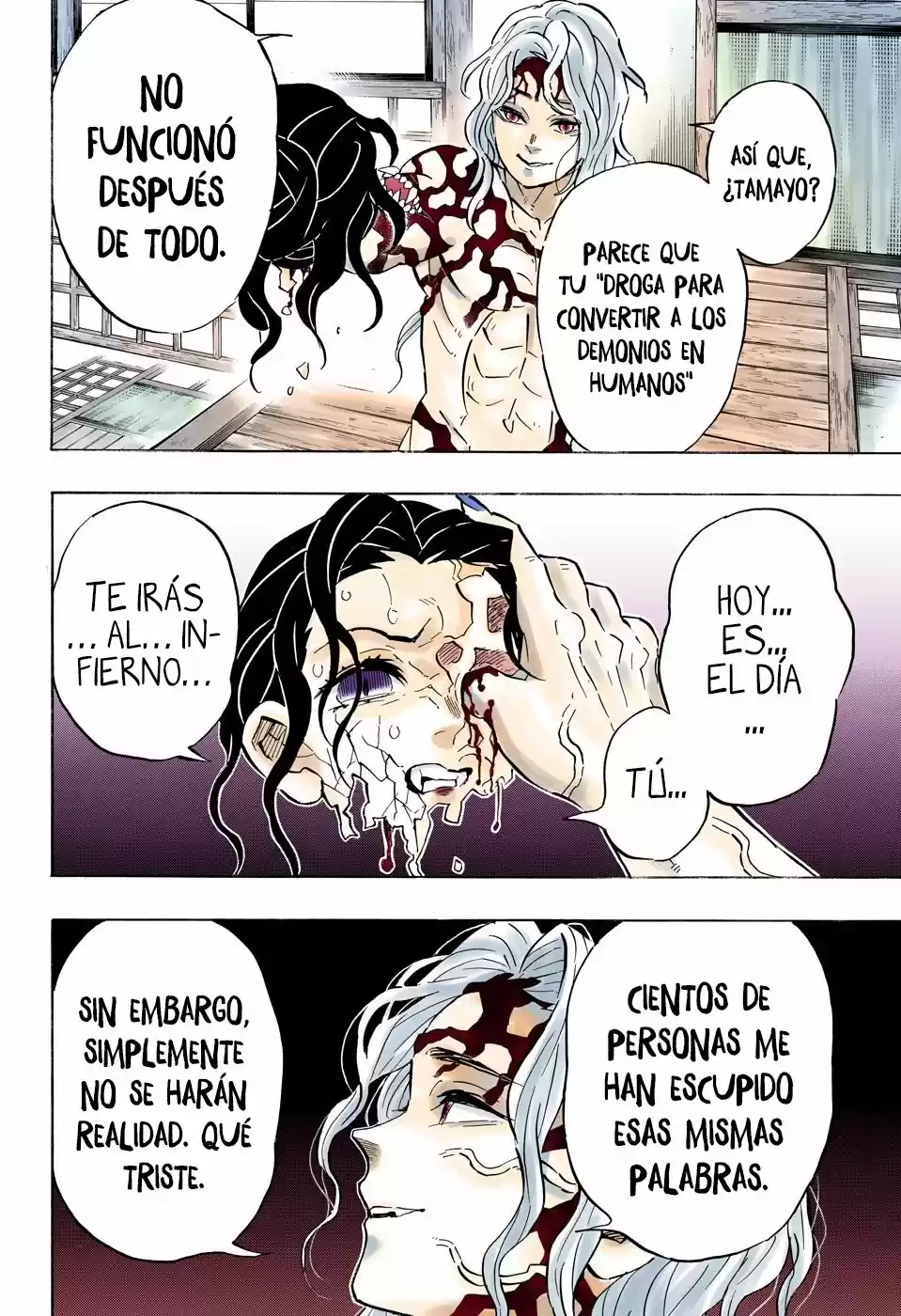 Kimetsu No Yaiba - Capítulo 180.50 - Página 15 - LectorTMOo