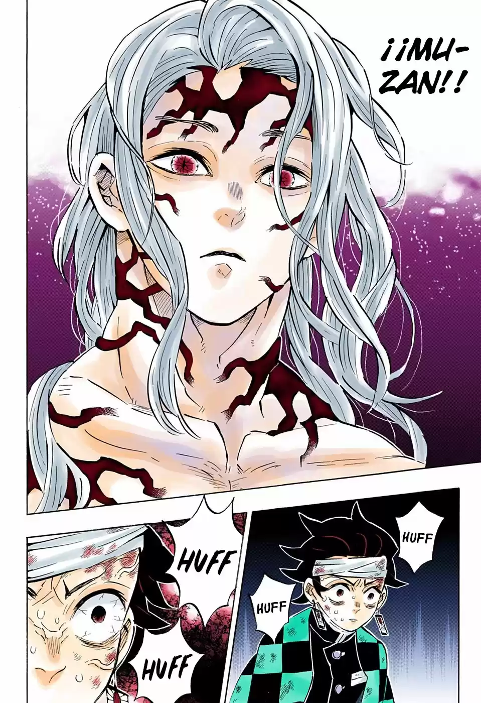 Kimetsu No Yaiba - Capítulo 181.50 - Página 12 - LectorTMOo