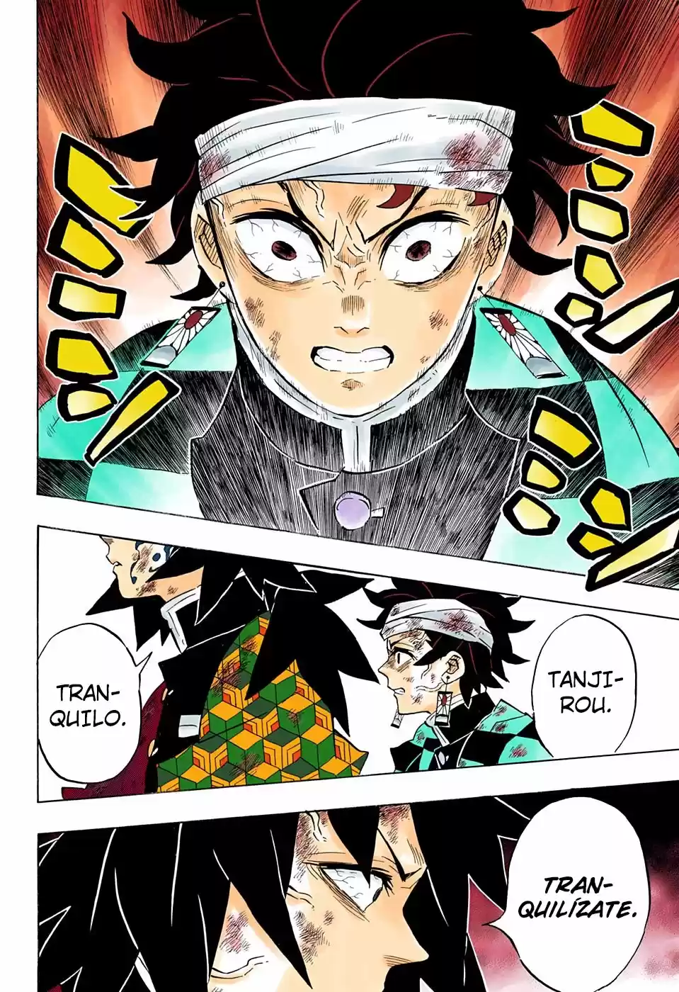 Kimetsu No Yaiba - Capítulo 181.50 - Página 14 - LectorTMOo