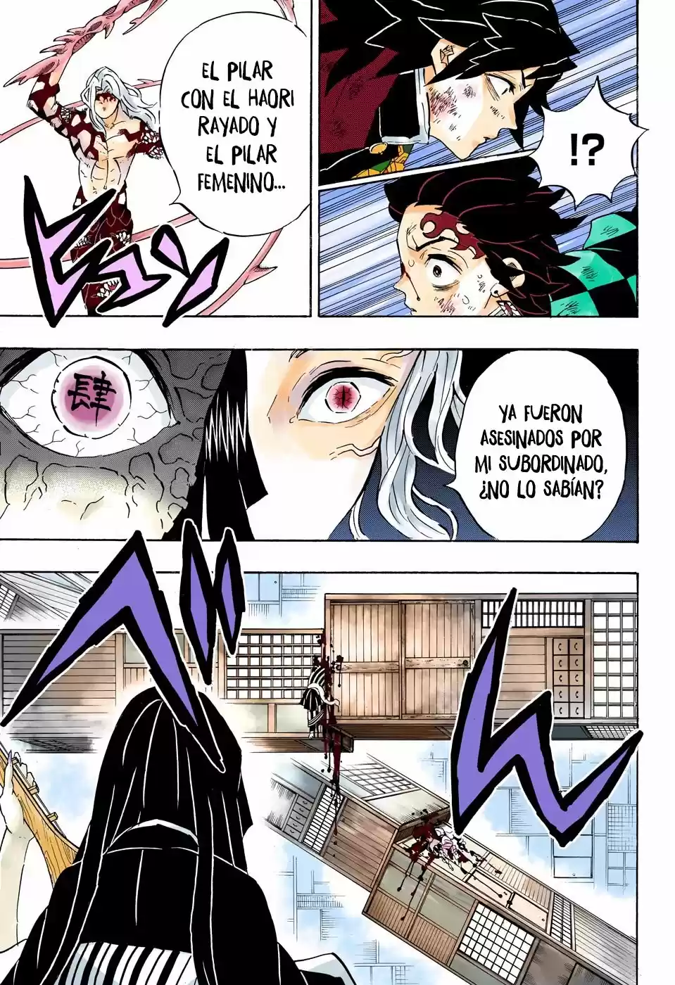 Kimetsu No Yaiba - Capítulo 182.50 - Página 12 - LectorTMOo