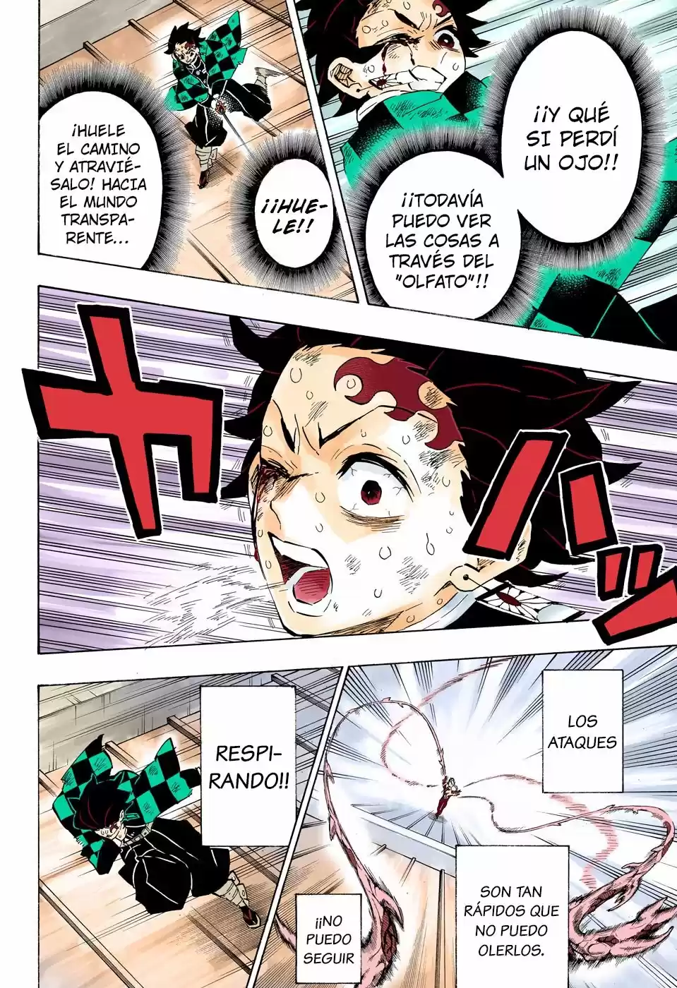 Kimetsu No Yaiba - Capítulo 182.50 - Página 15 - LectorTMOo