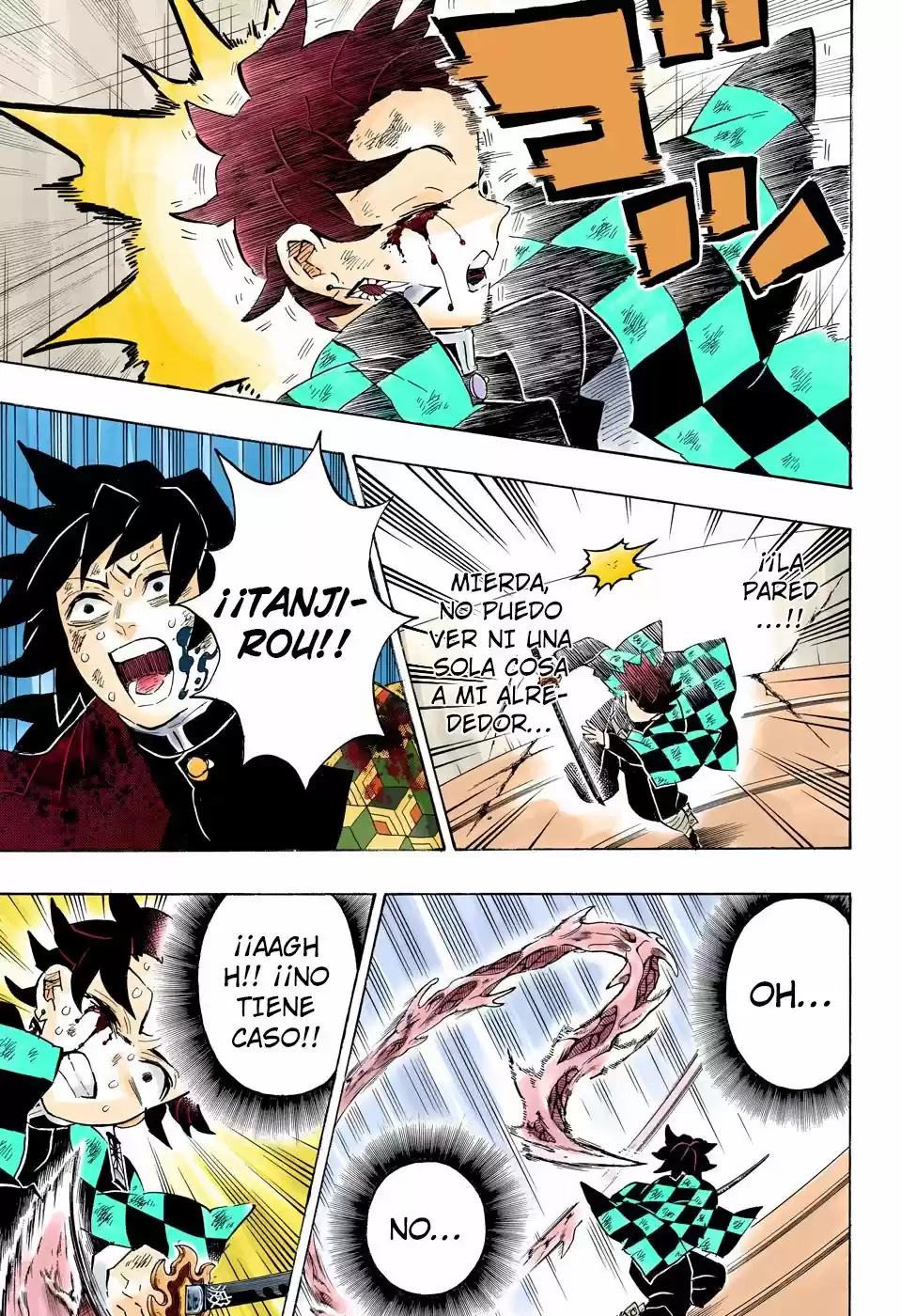 Kimetsu No Yaiba - Capítulo 182.50 - Página 16 - LectorTMOo