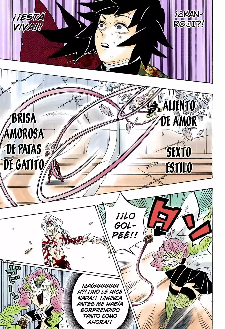Kimetsu No Yaiba - Capítulo 182.50 - Página 18 - LectorTMOo