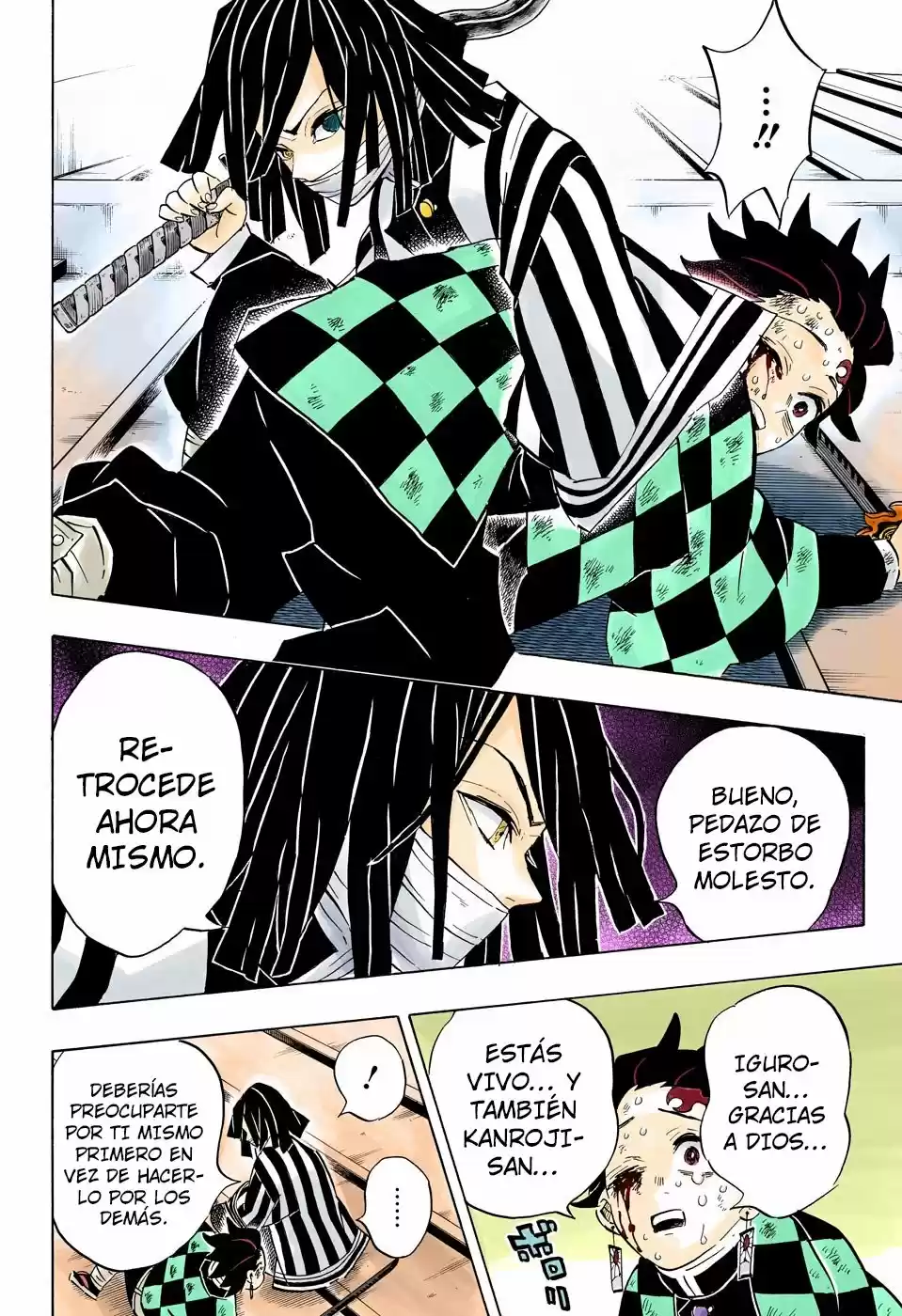 Kimetsu No Yaiba - Capítulo 182.50 - Página 19 - LectorTMOo