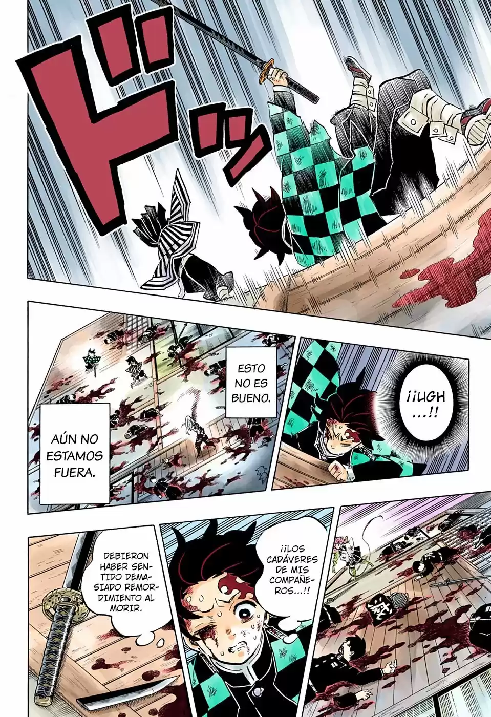 Kimetsu No Yaiba - Capítulo 183.50 - Página 13 - LectorTMOo