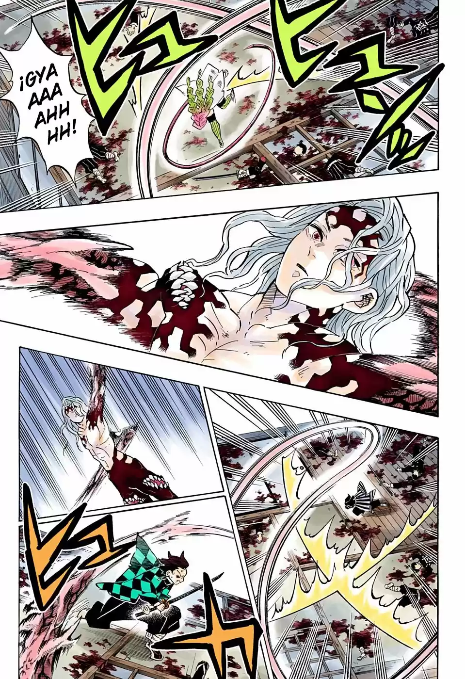 Kimetsu No Yaiba - Capítulo 183.50 - Página 14 - LectorTMOo
