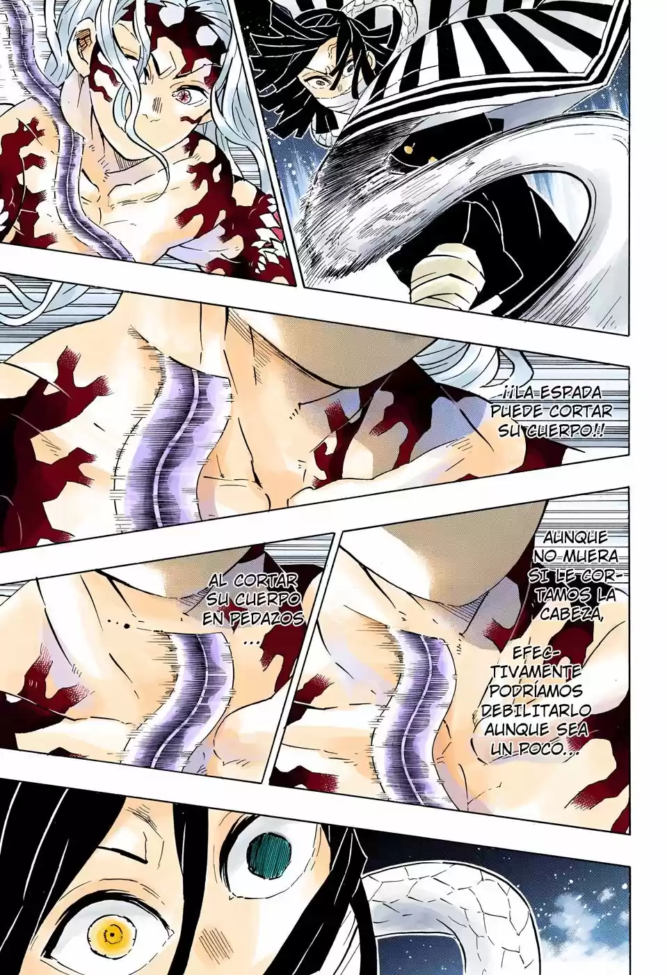 Kimetsu No Yaiba - Capítulo 184.50 - Página 10 - LectorTMOo
