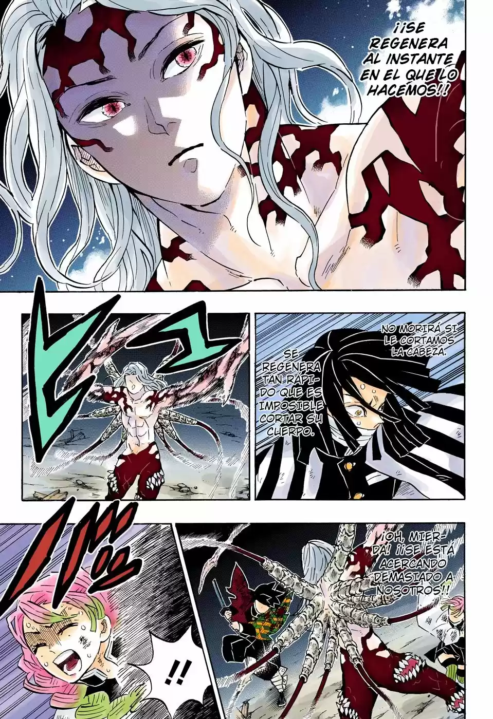 Kimetsu No Yaiba - Capítulo 184.50 - Página 12 - LectorTMOo