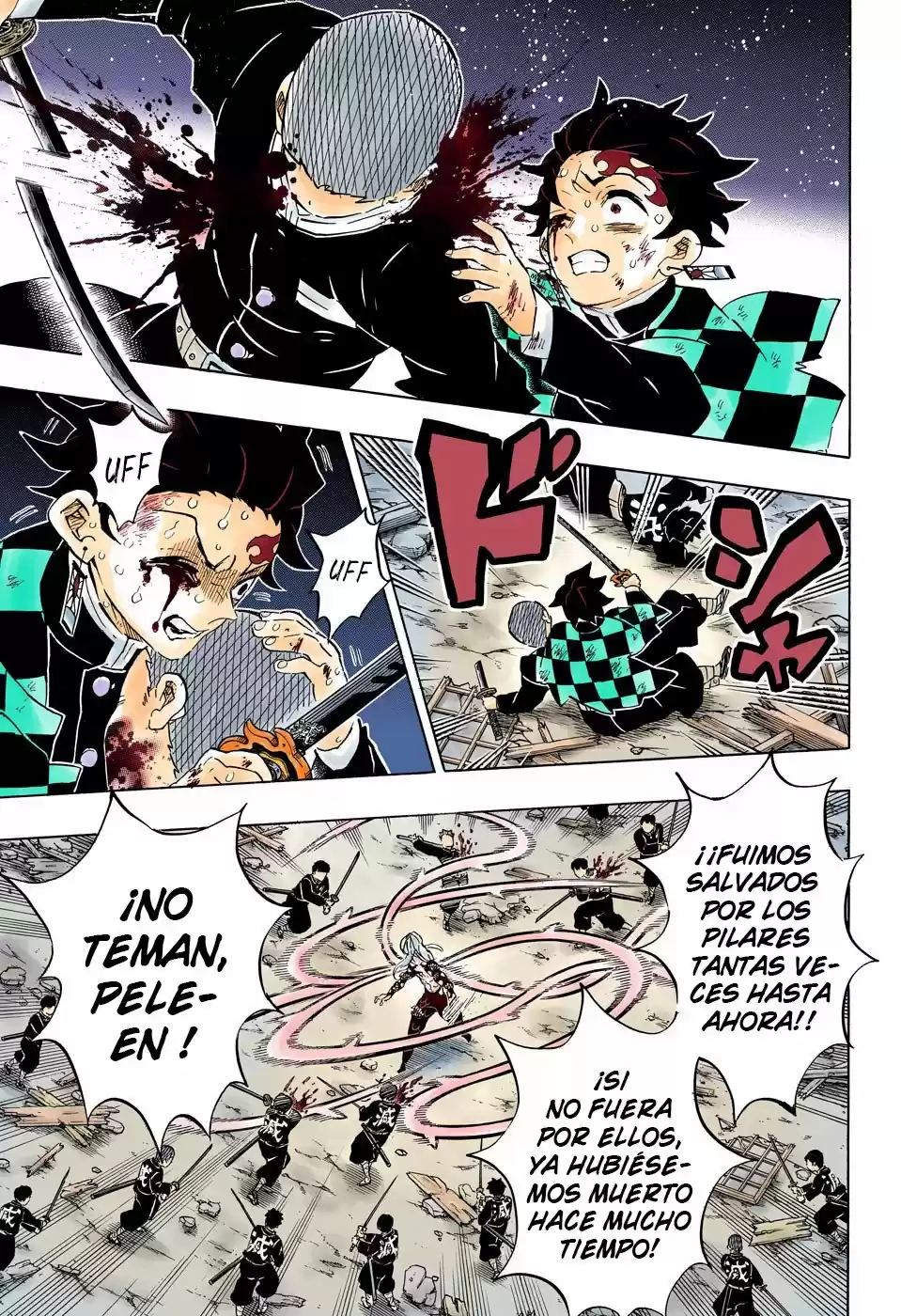 Kimetsu No Yaiba - Capítulo 184.50 - Página 15 - LectorTMOo