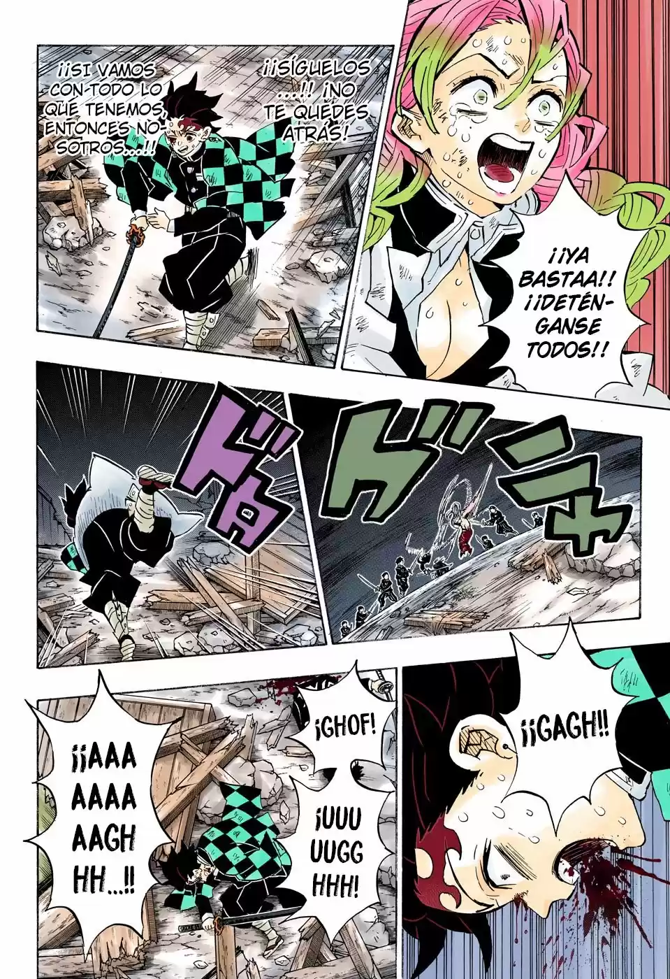 Kimetsu No Yaiba - Capítulo 184.50 - Página 16 - LectorTMOo