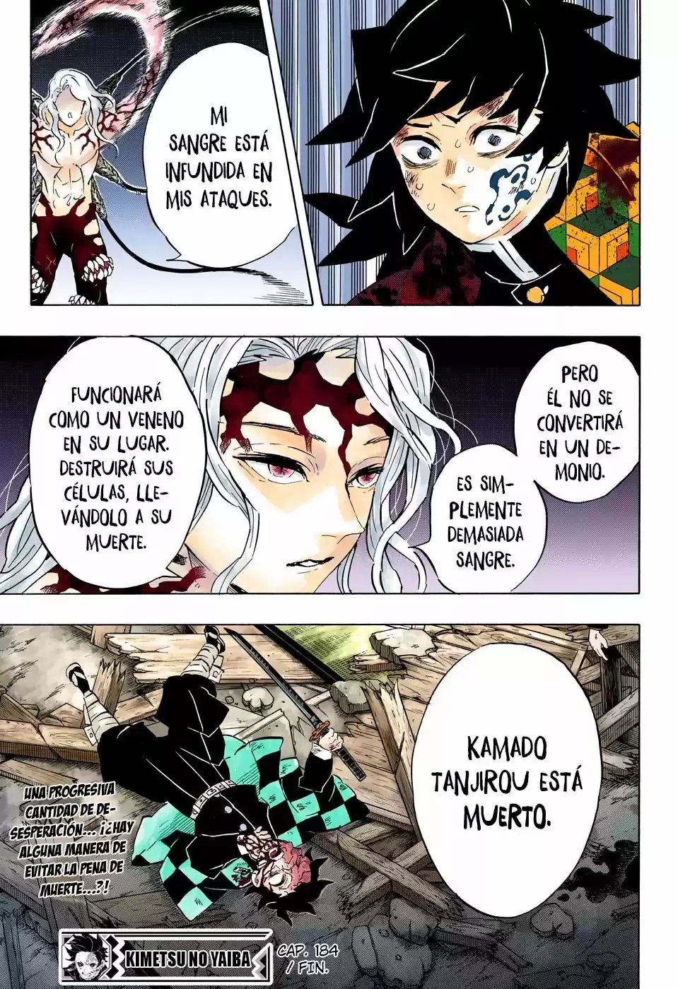 Kimetsu No Yaiba - Capítulo 184.50 - Página 19 - LectorTMOo