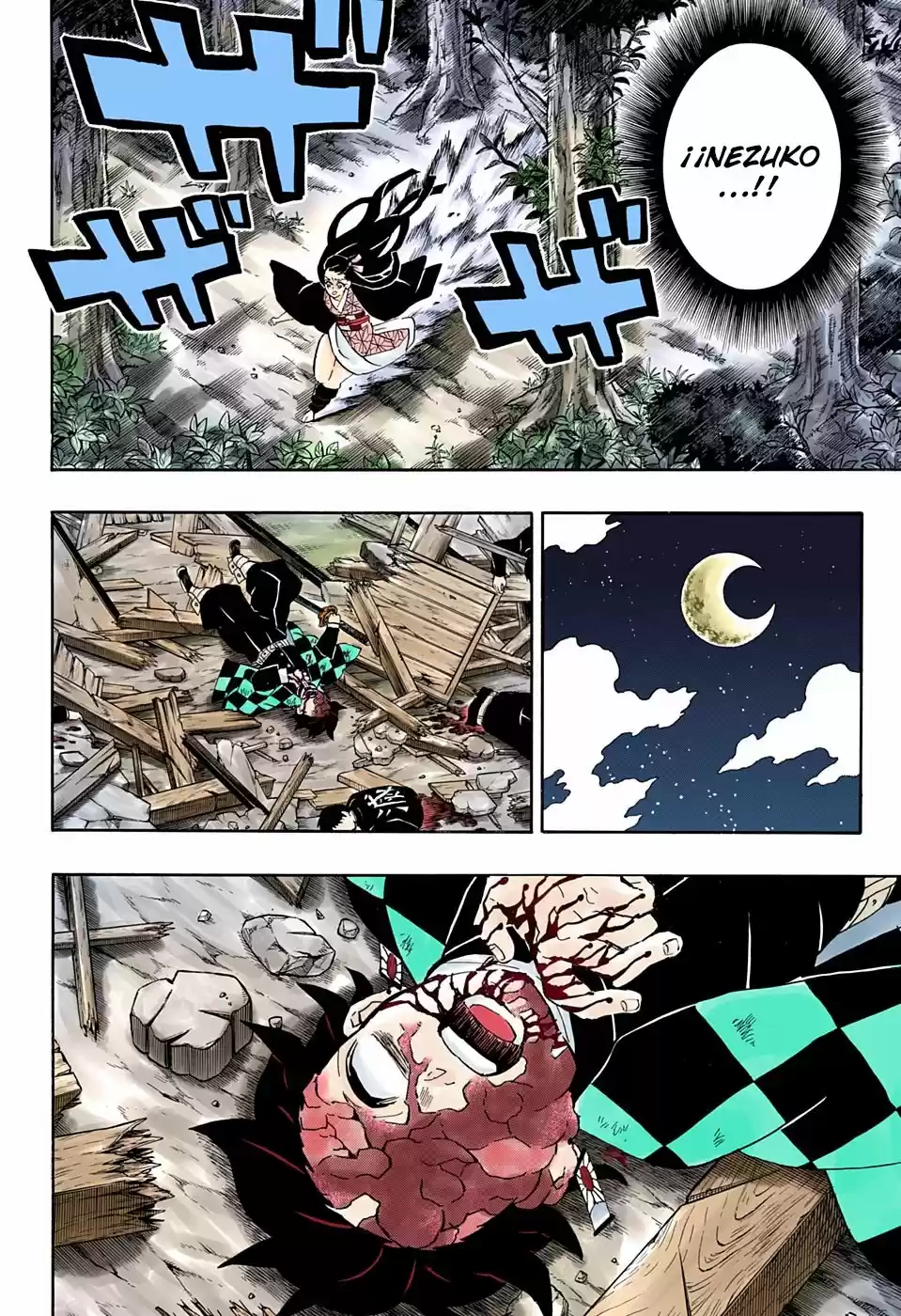 Kimetsu No Yaiba - Capítulo 185.50 - Página 9 - LectorTMOo