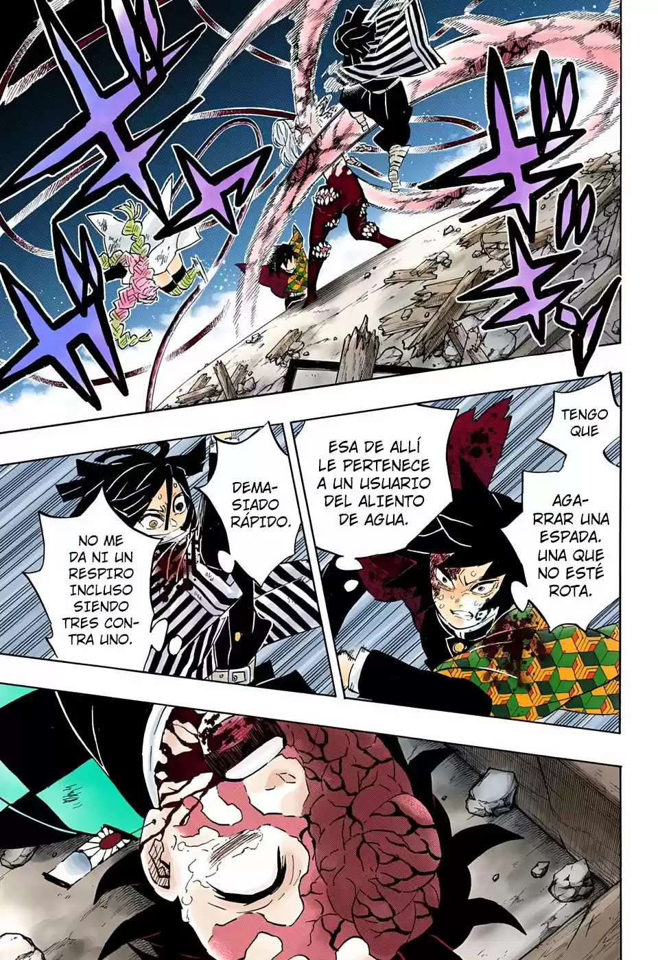 Kimetsu No Yaiba - Capítulo 185.50 - Página 10 - LectorTMOo