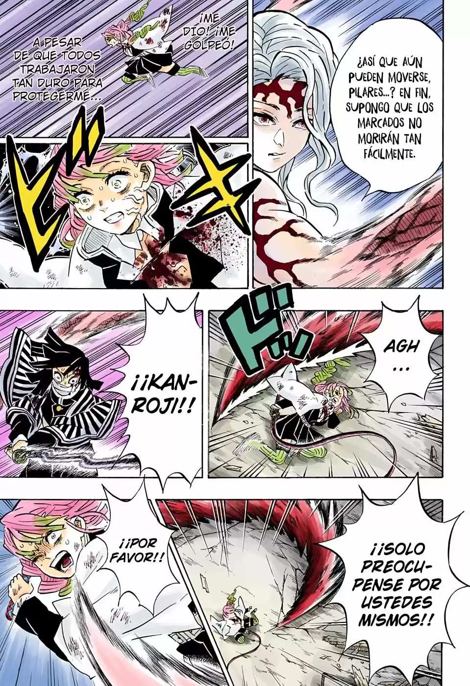 Kimetsu No Yaiba - Capítulo 185.50 - Página 12 - LectorTMOo