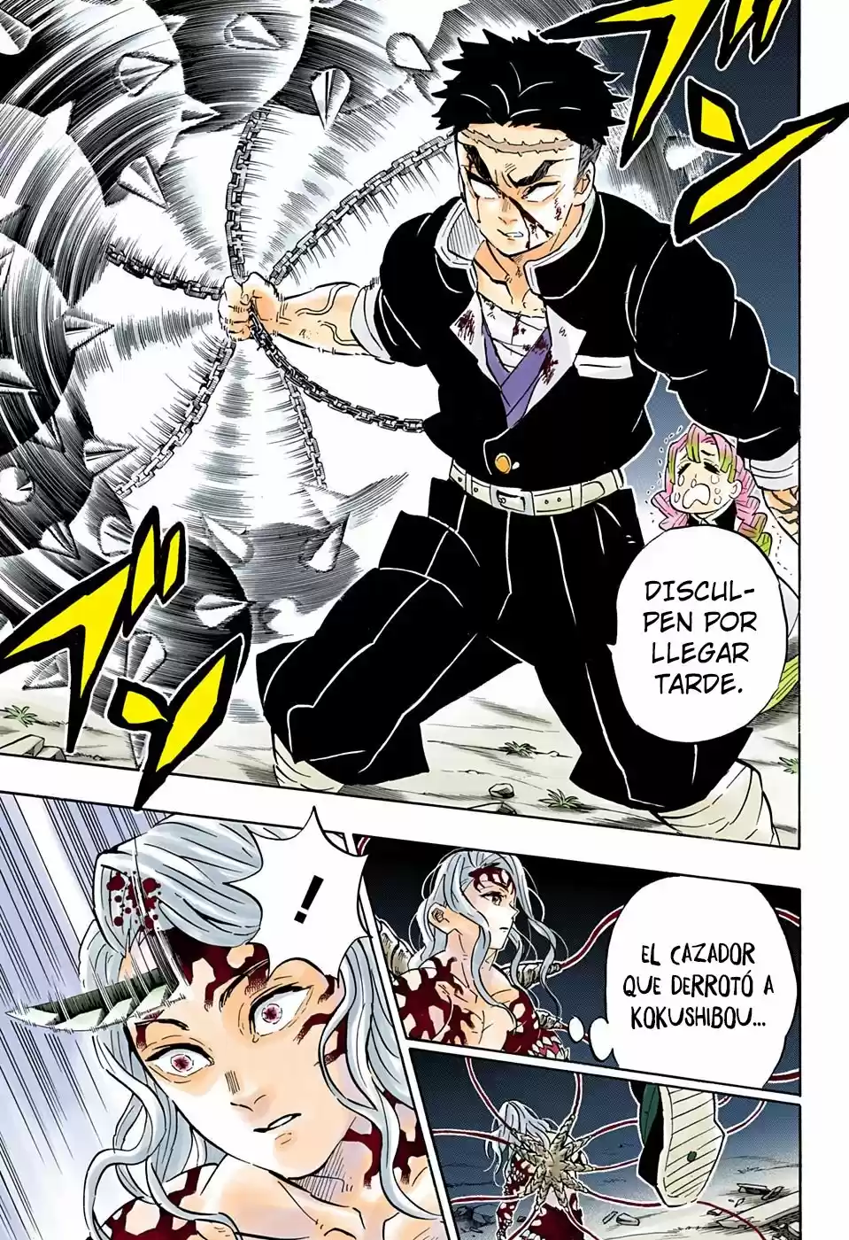 Kimetsu No Yaiba - Capítulo 185.50 - Página 14 - LectorTMOo