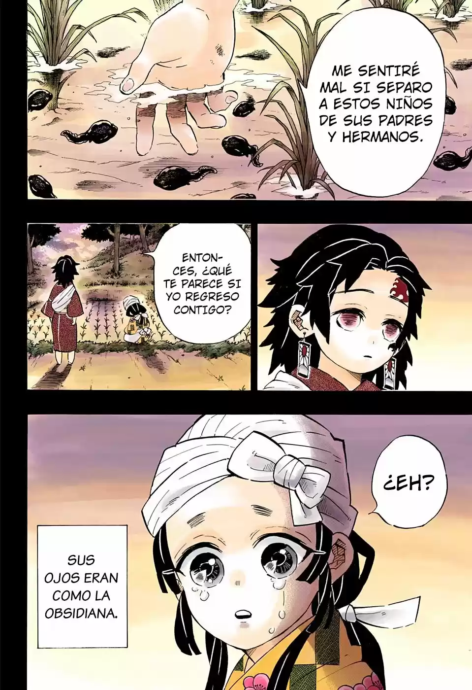 Kimetsu No Yaiba - Capítulo 186.50 - Página 13 - LectorTMOo