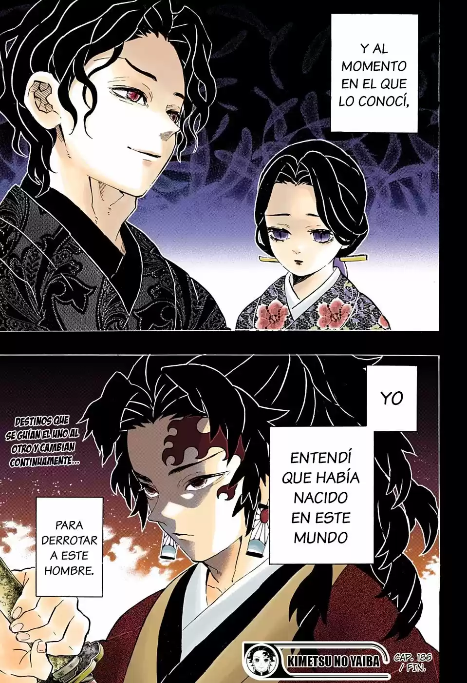 Kimetsu No Yaiba - Capítulo 186.50 - Página 20 - LectorTMOo