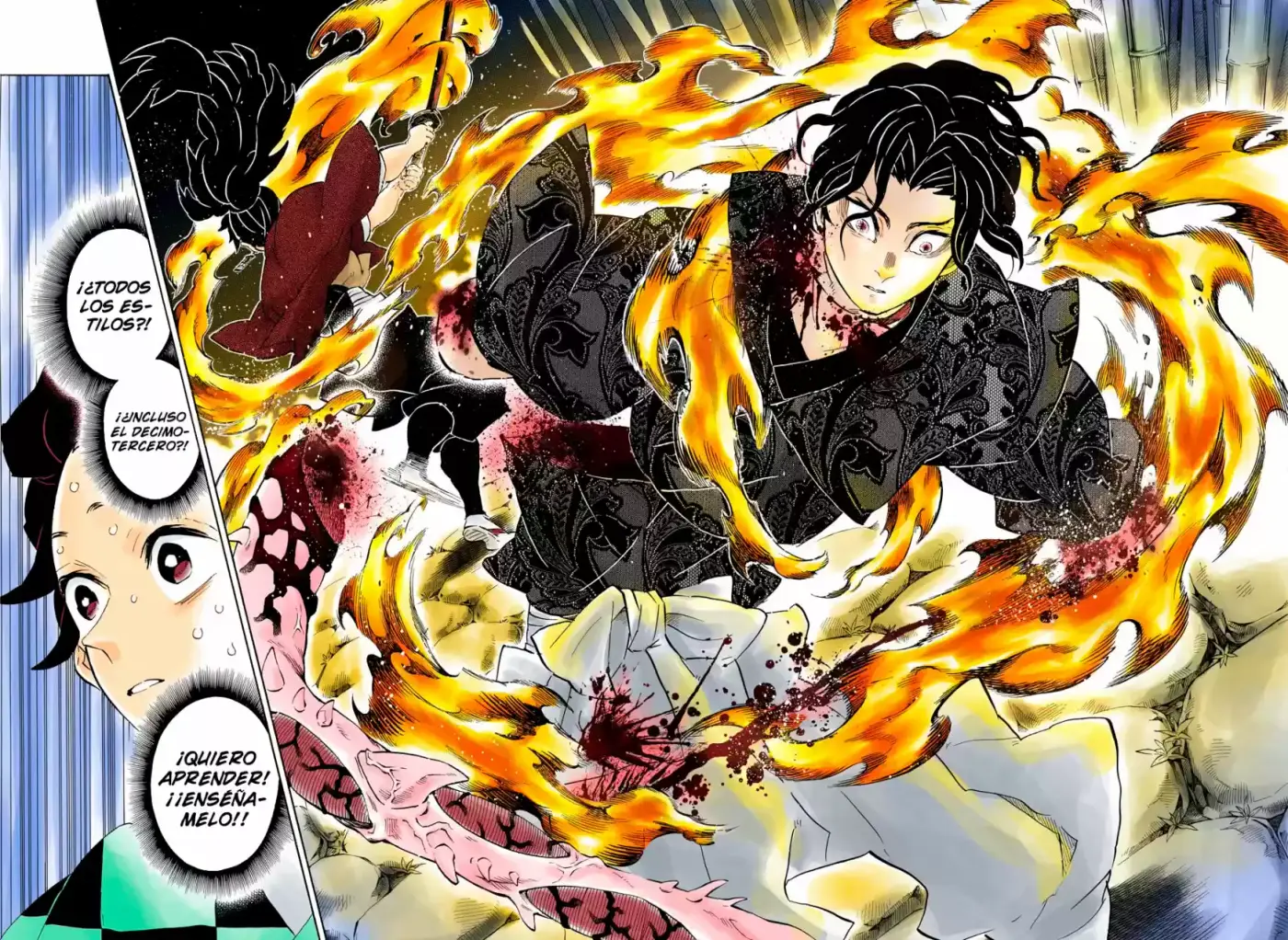Kimetsu No Yaiba - Capítulo 187.50 - Página 5 - LectorTMOo