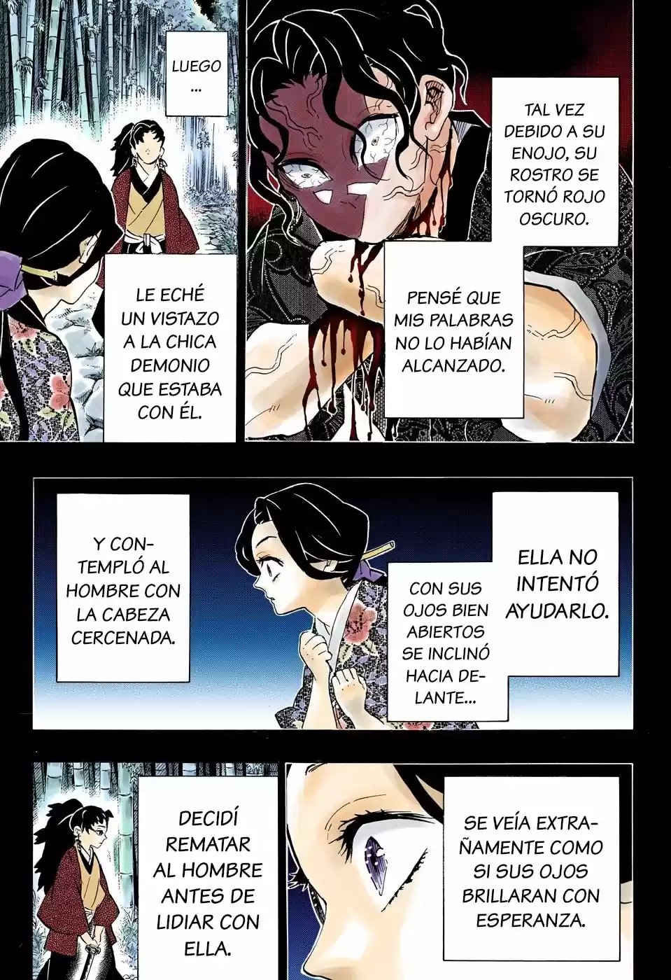 Kimetsu No Yaiba - Capítulo 187.50 - Página 7 - LectorTMOo