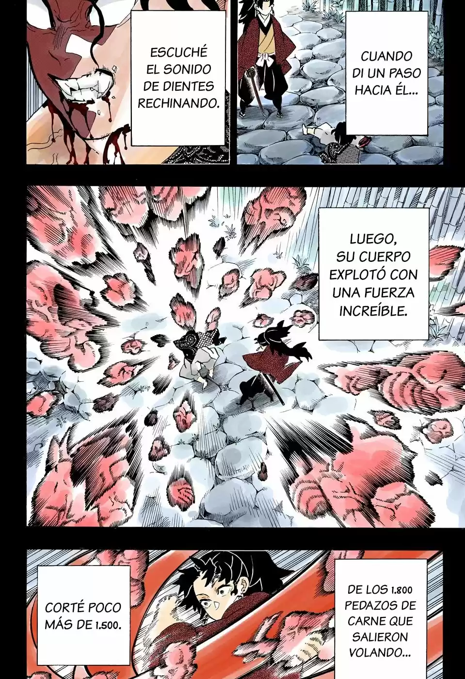 Kimetsu No Yaiba - Capítulo 187.50 - Página 8 - LectorTMOo