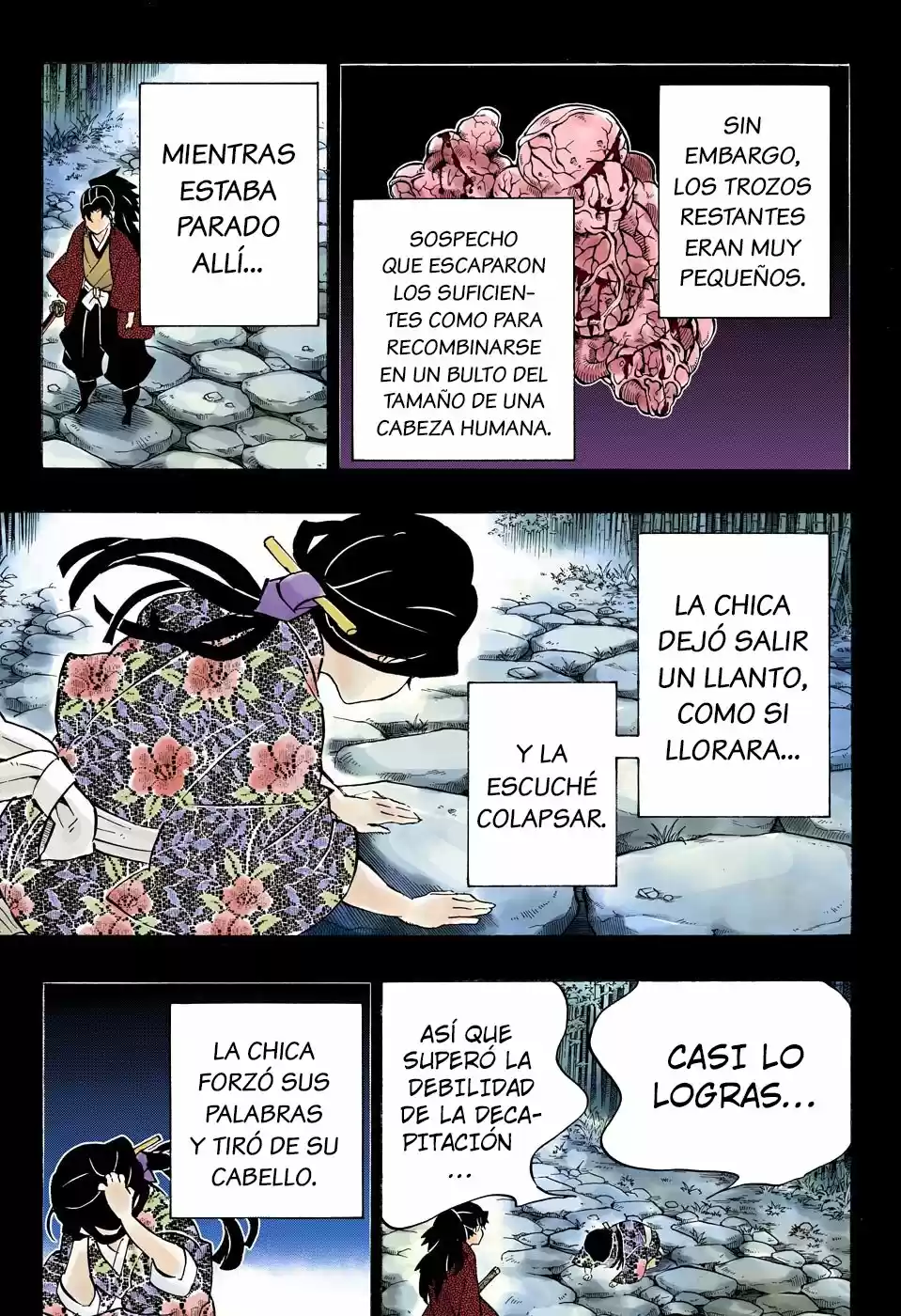 Kimetsu No Yaiba - Capítulo 187.50 - Página 9 - LectorTMOo
