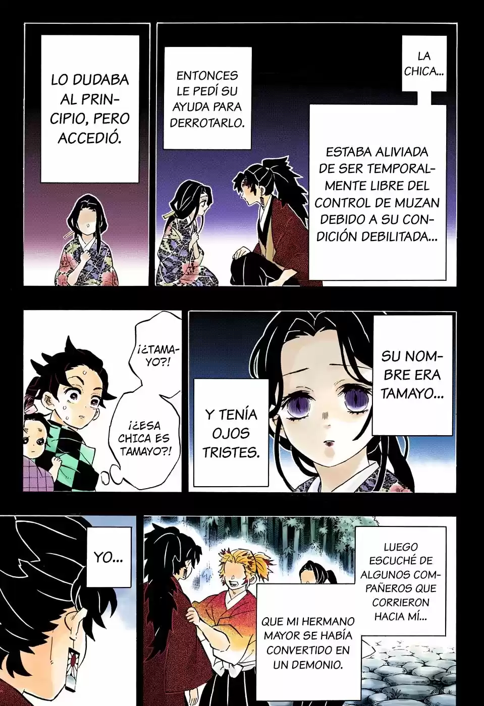 Kimetsu No Yaiba - Capítulo 187.50 - Página 11 - LectorTMOo