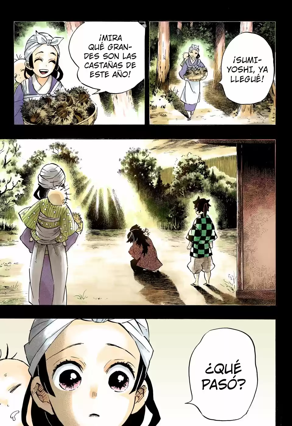 Kimetsu No Yaiba - Capítulo 187.50 - Página 17 - LectorTMOo