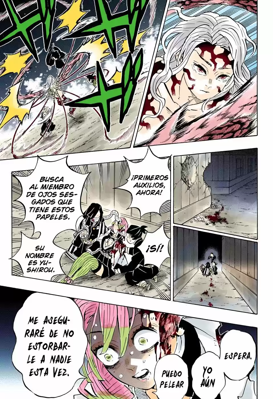 Kimetsu No Yaiba - Capítulo 188.50 - Página 8 - LectorTMOo