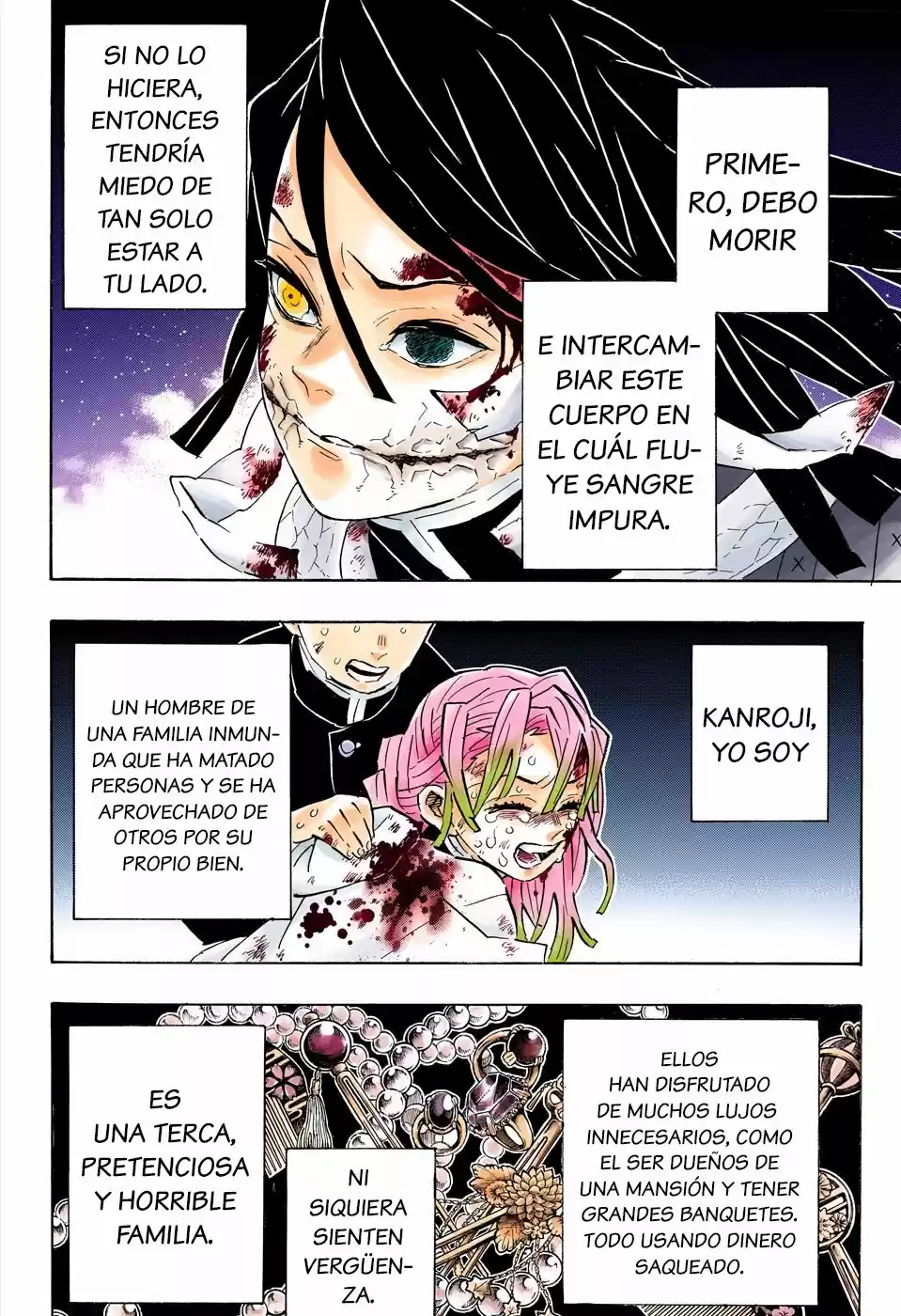 Kimetsu No Yaiba - Capítulo 188.50 - Página 11 - LectorTMOo