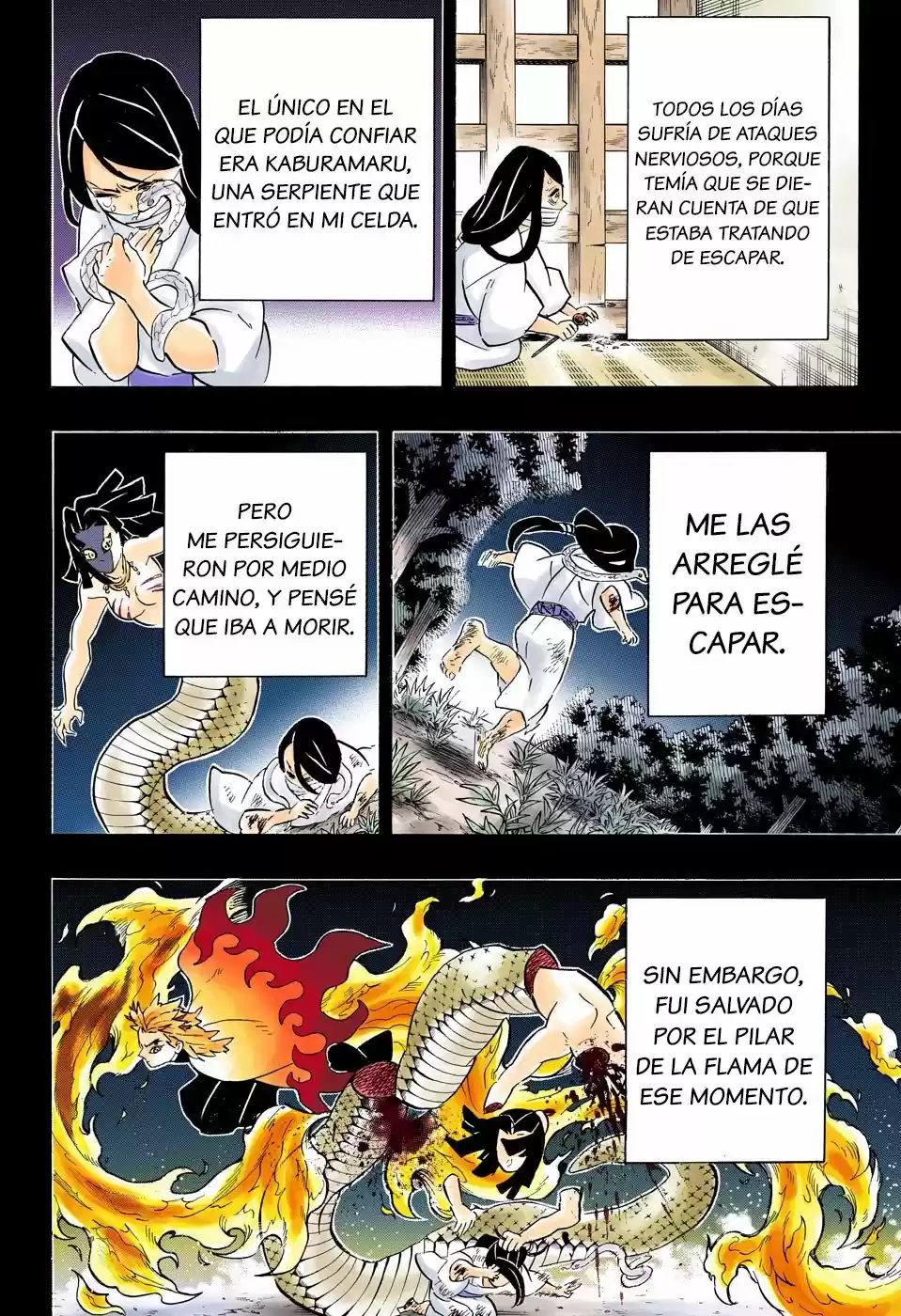Kimetsu No Yaiba - Capítulo 188.50 - Página 17 - LectorTMOo